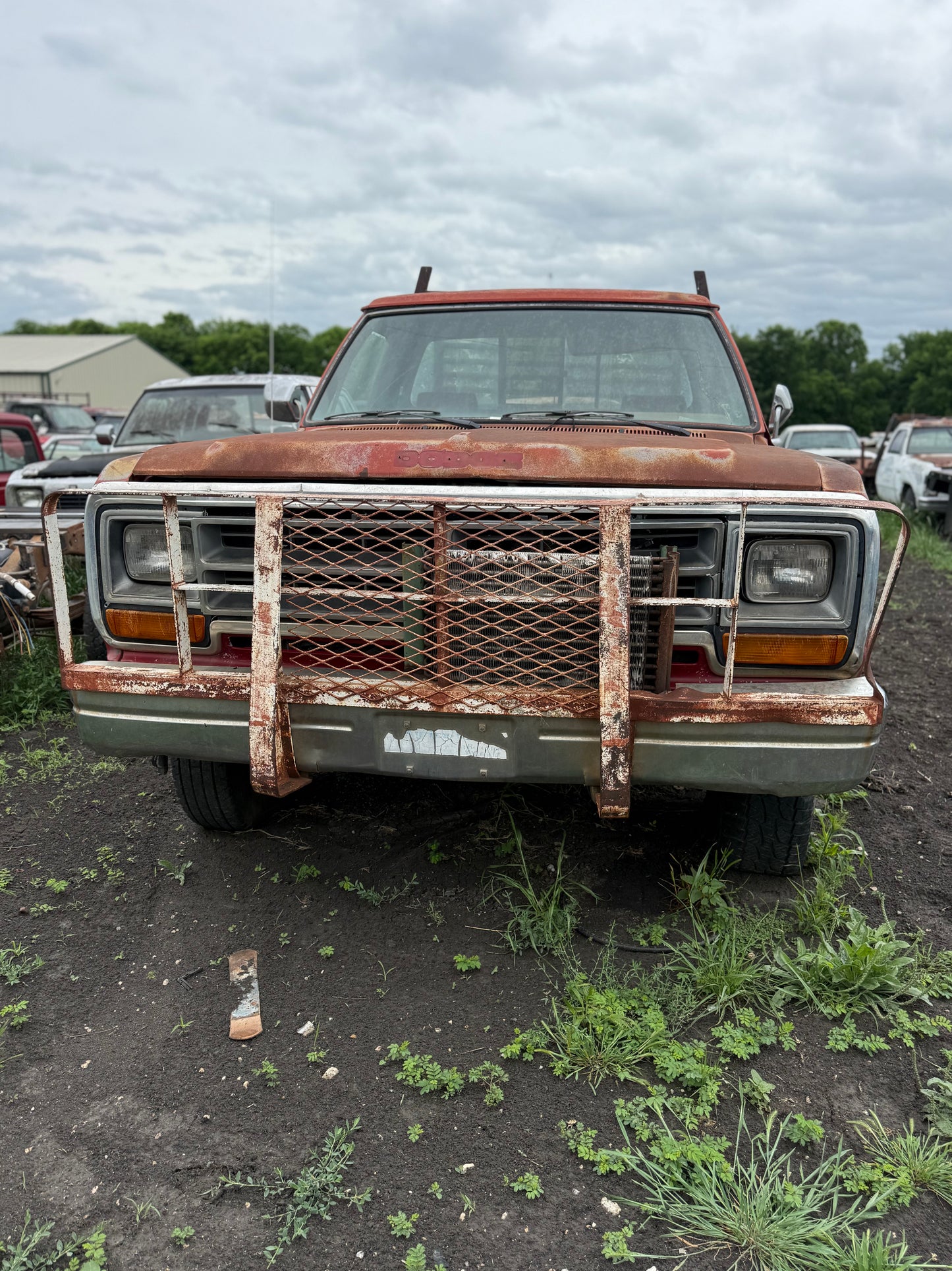 Grill Guard and Bumper First Gen Cummins (Local Pickup)