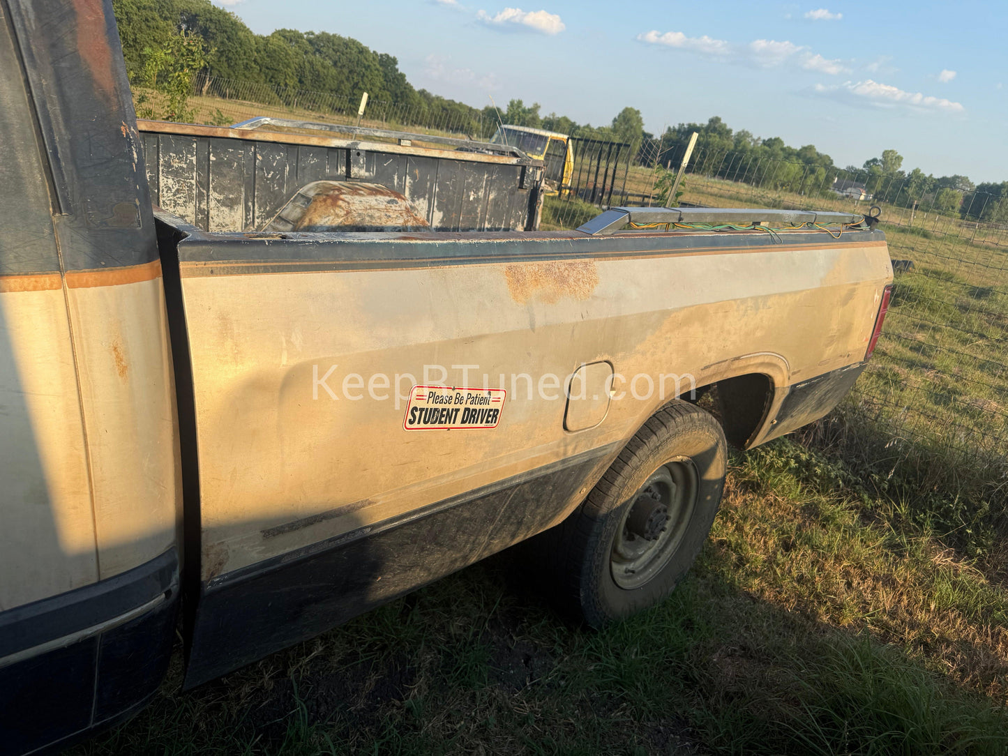 Z Green and Gold Longbed