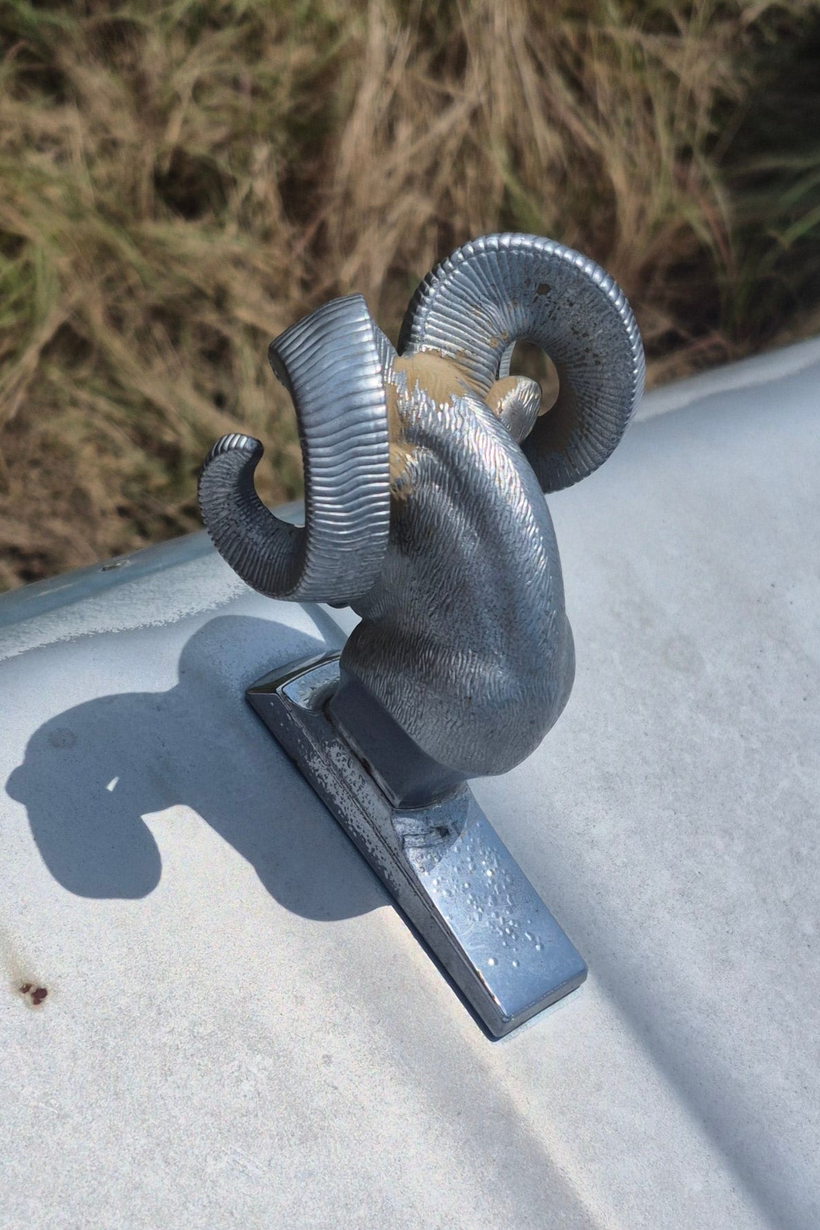 Rams Head Emblem OEM