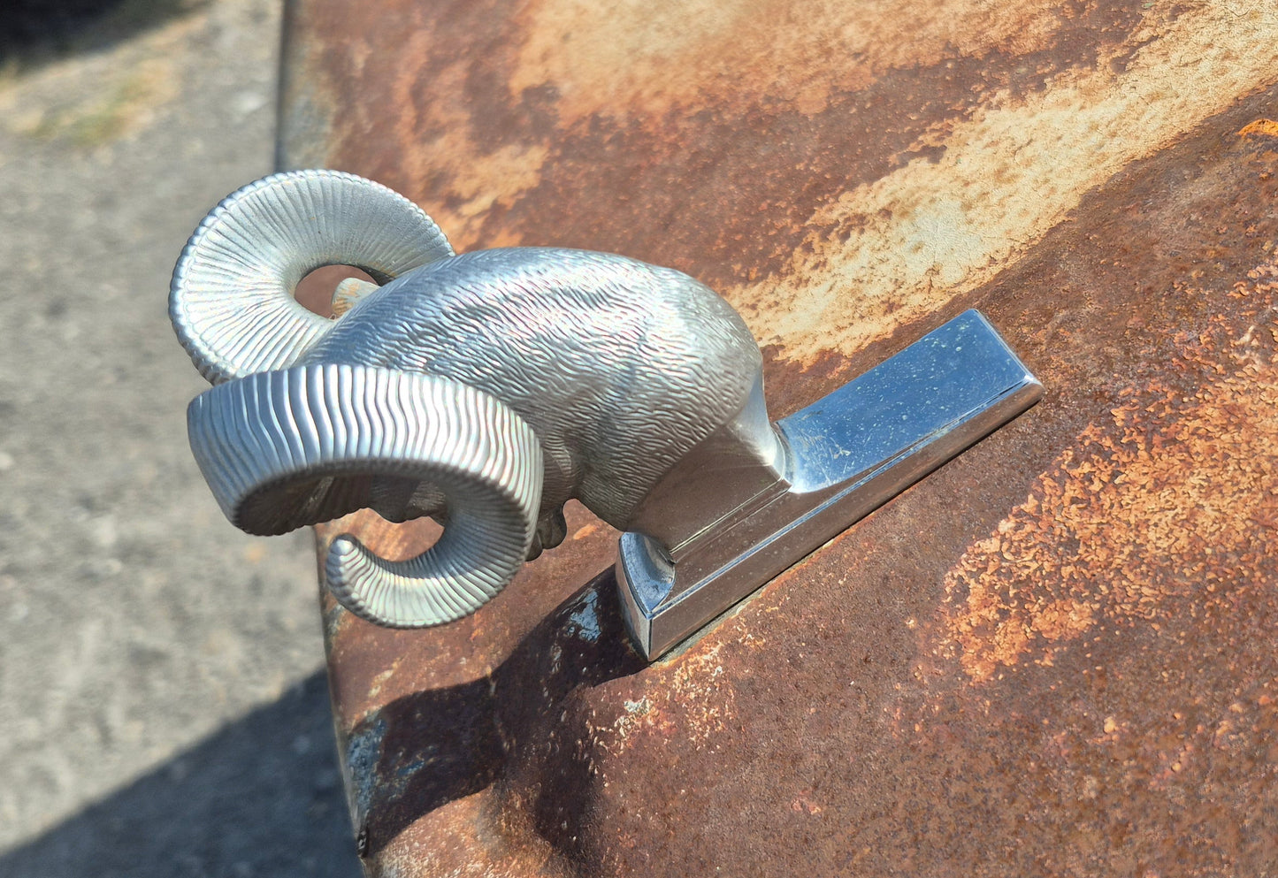 Rams Head Emblem (A) OEM