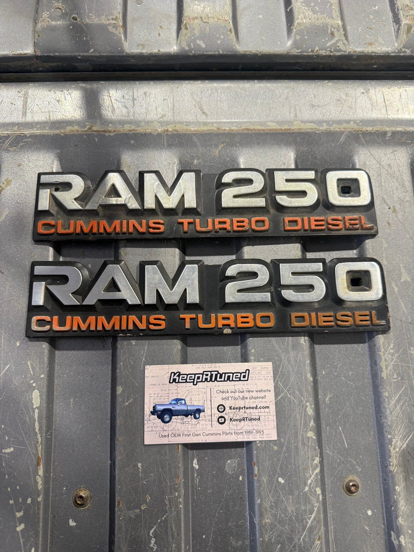 Emblems Pair D250