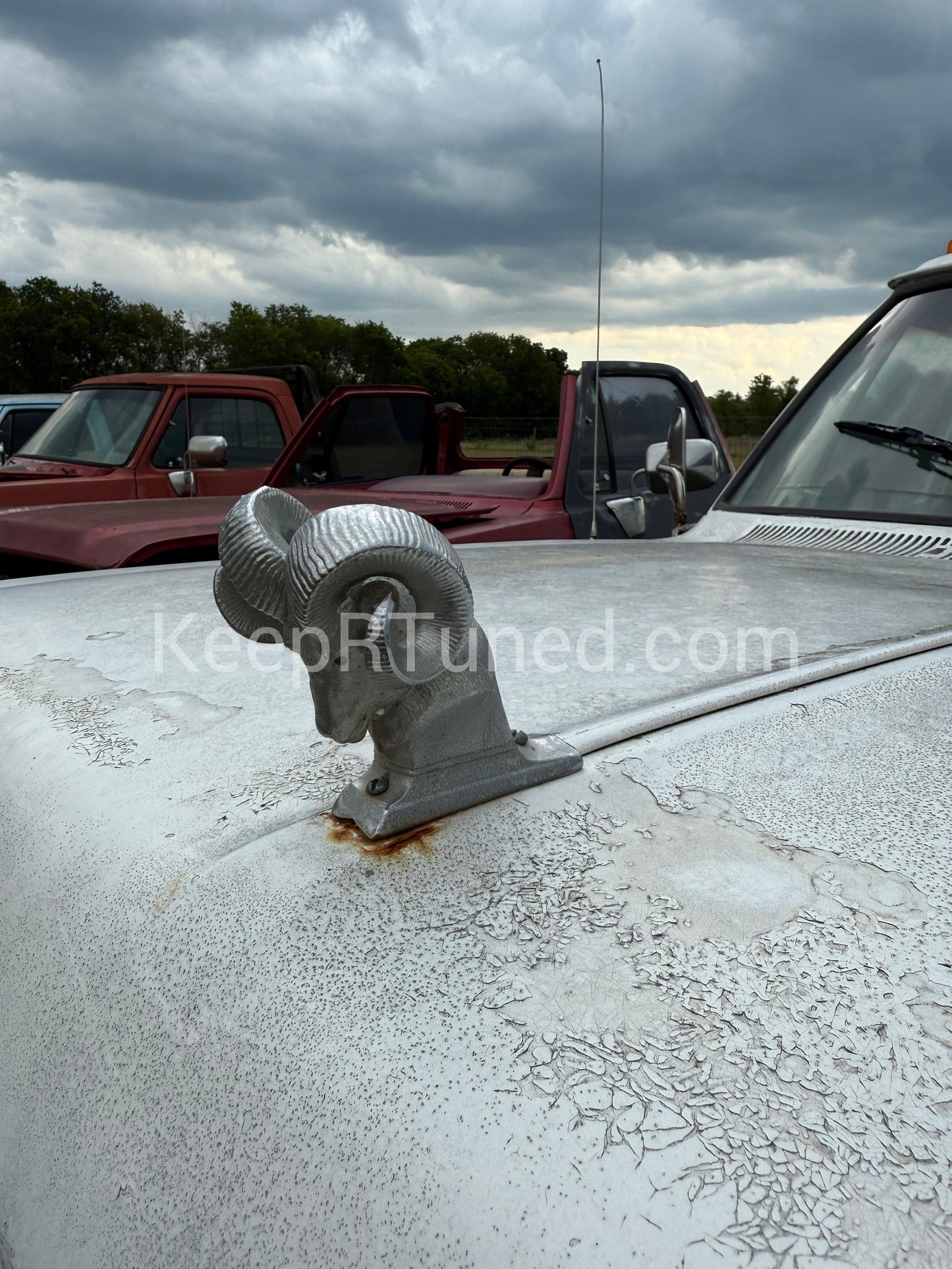 Rams Head Emblem Aftermarket