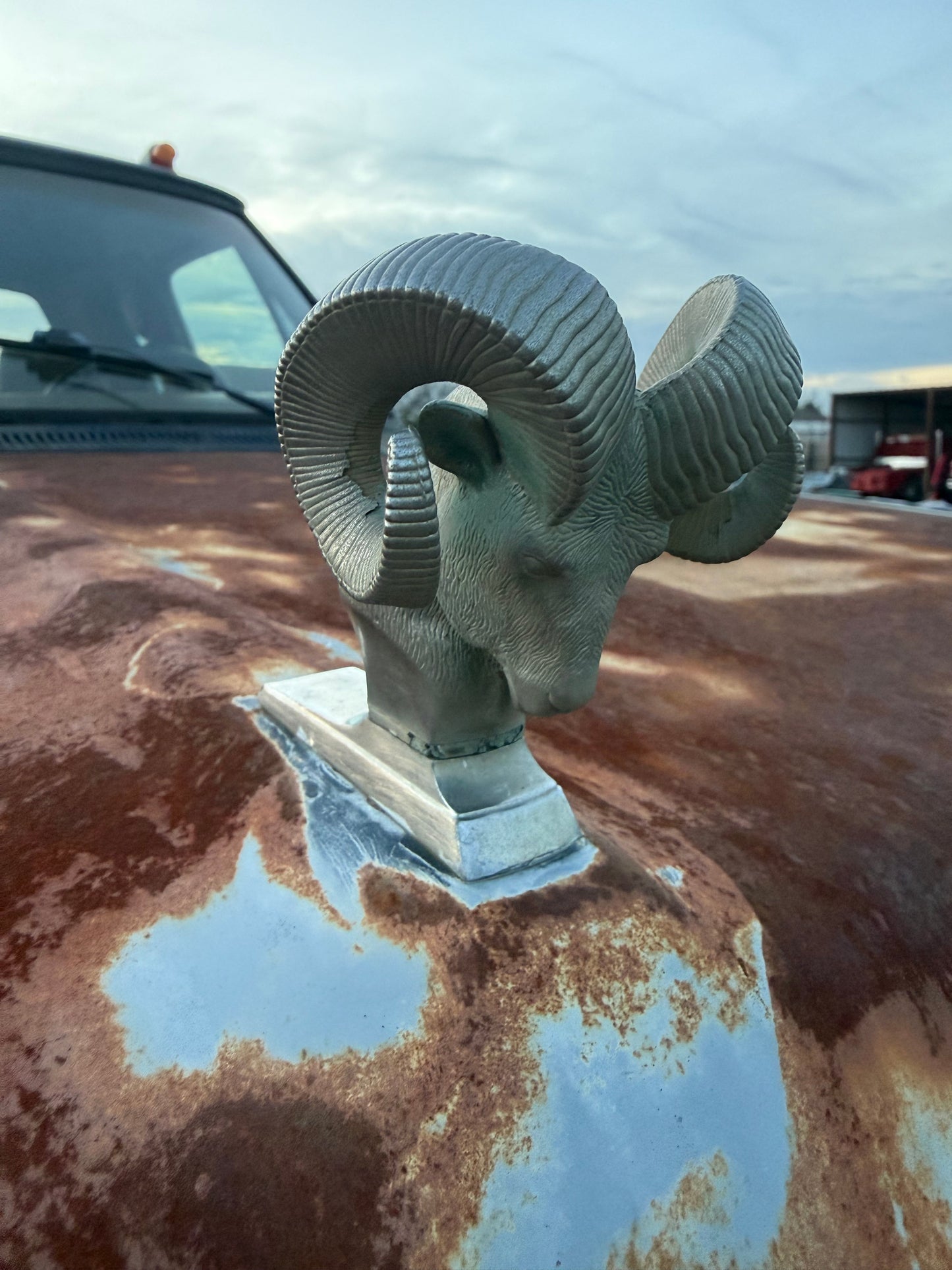 Rams Head Emblem OEM