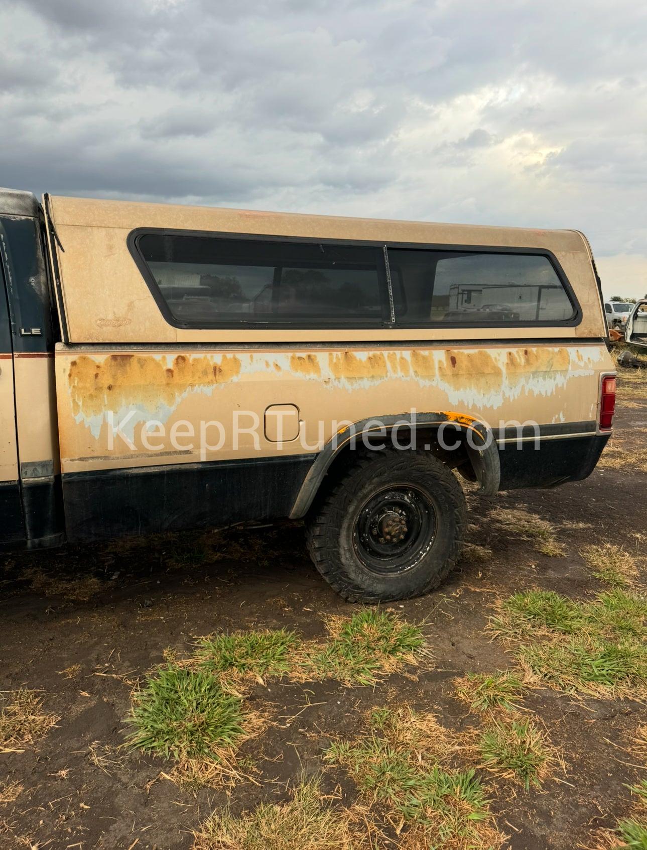 Z Green and Gold Longbed