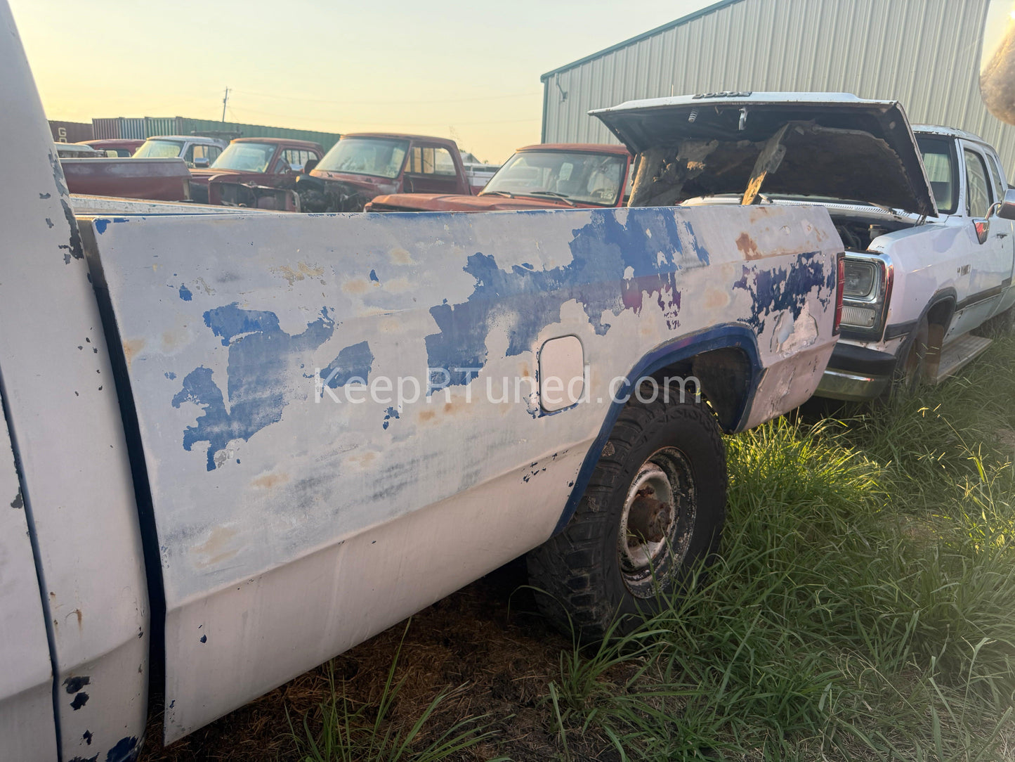 Z Blue White Longbed