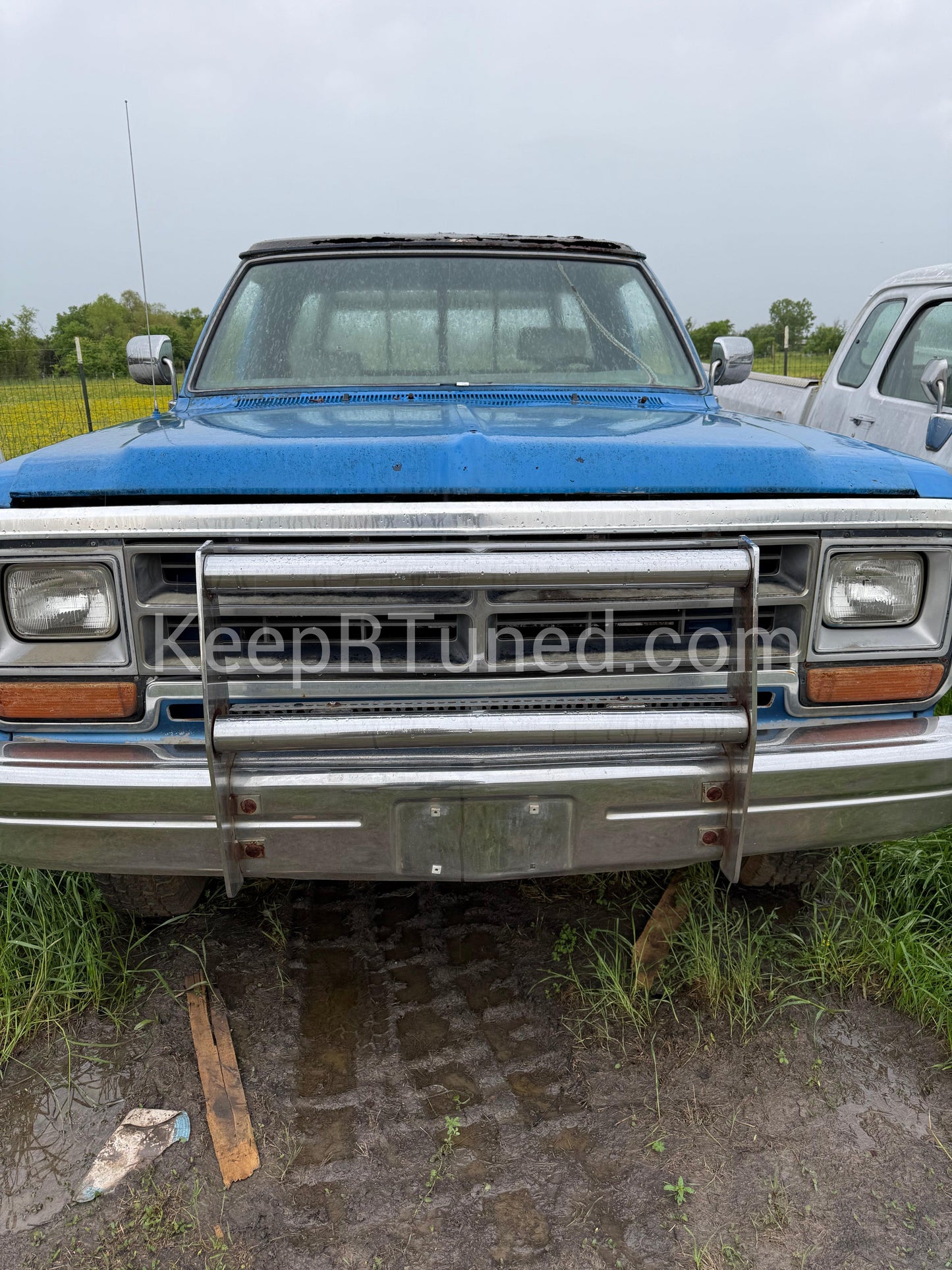 Bull Bar Push Bar Bumper Rare