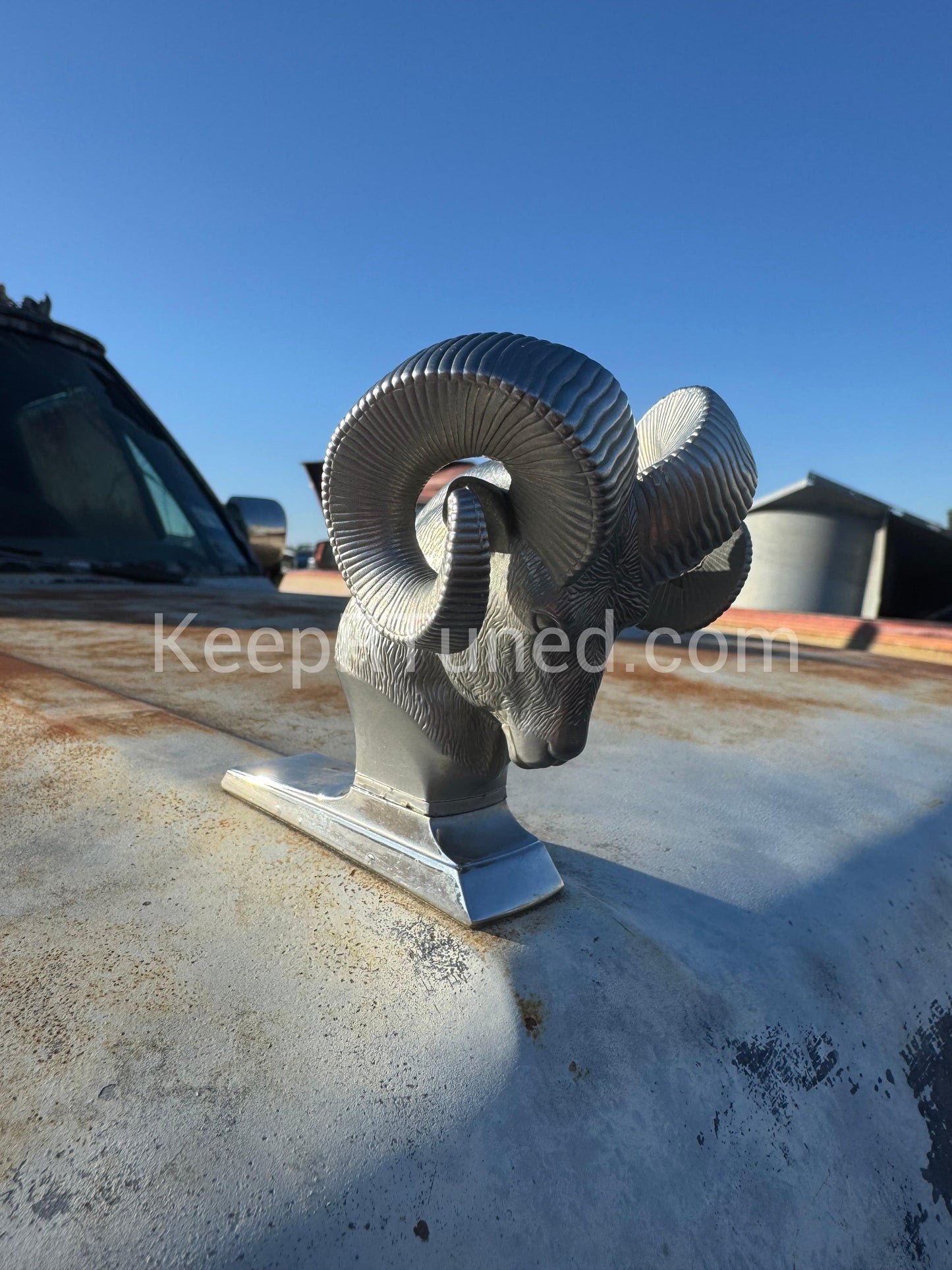 Rams Head Hood Ornament OEM Used