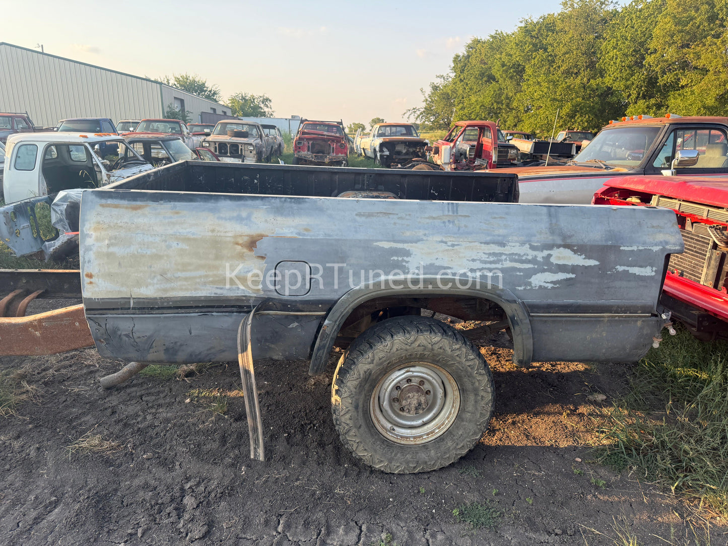 Z Black and Silver Longbed