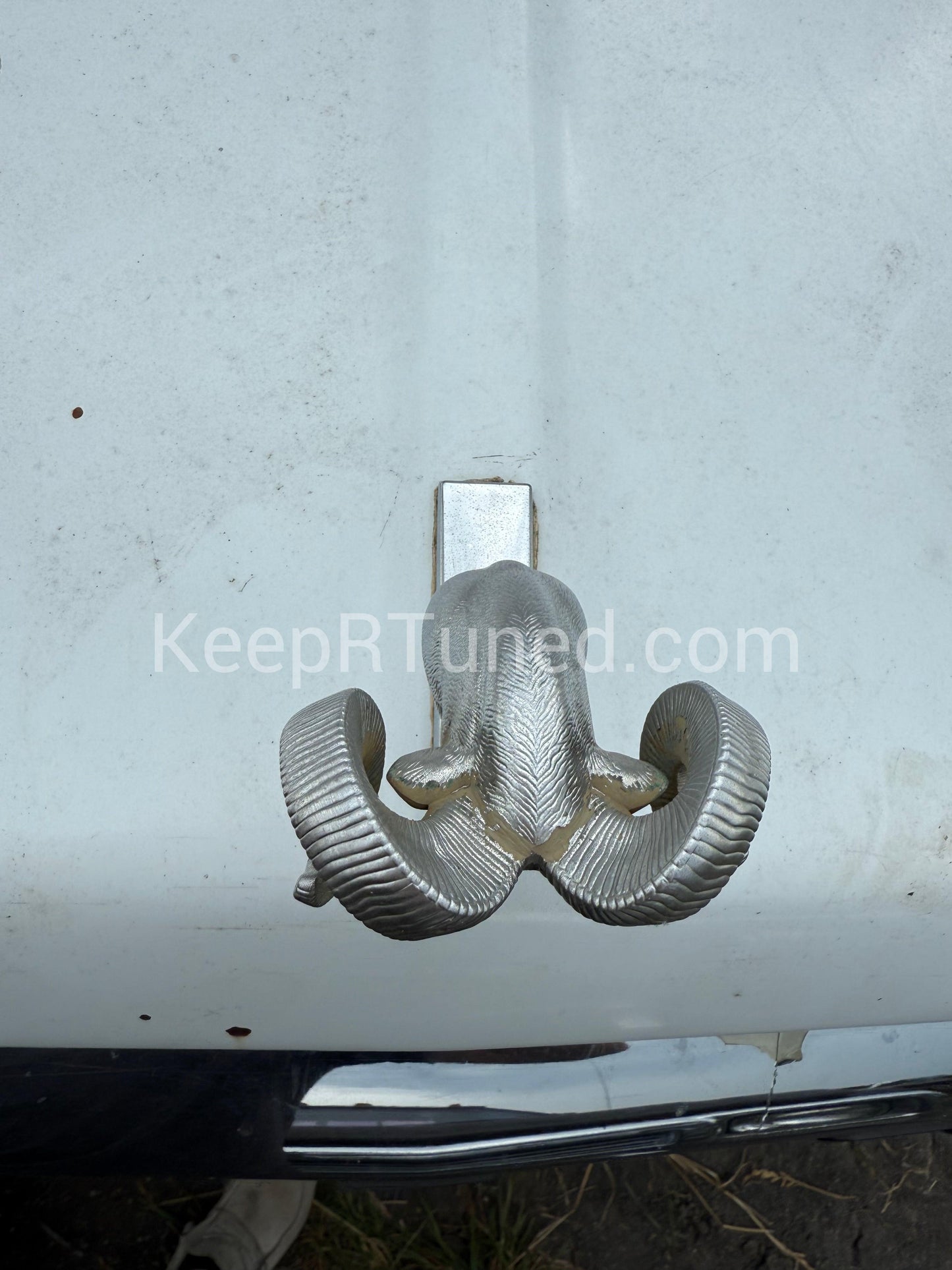 Rams Head Hood Ornament OEM