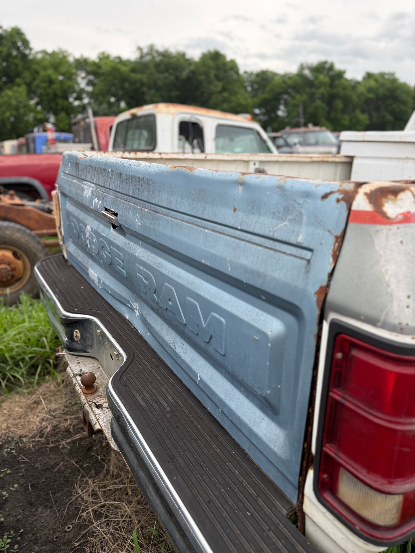 Tailgate Blue Stamped First Gen Cummins (Local Pickup)