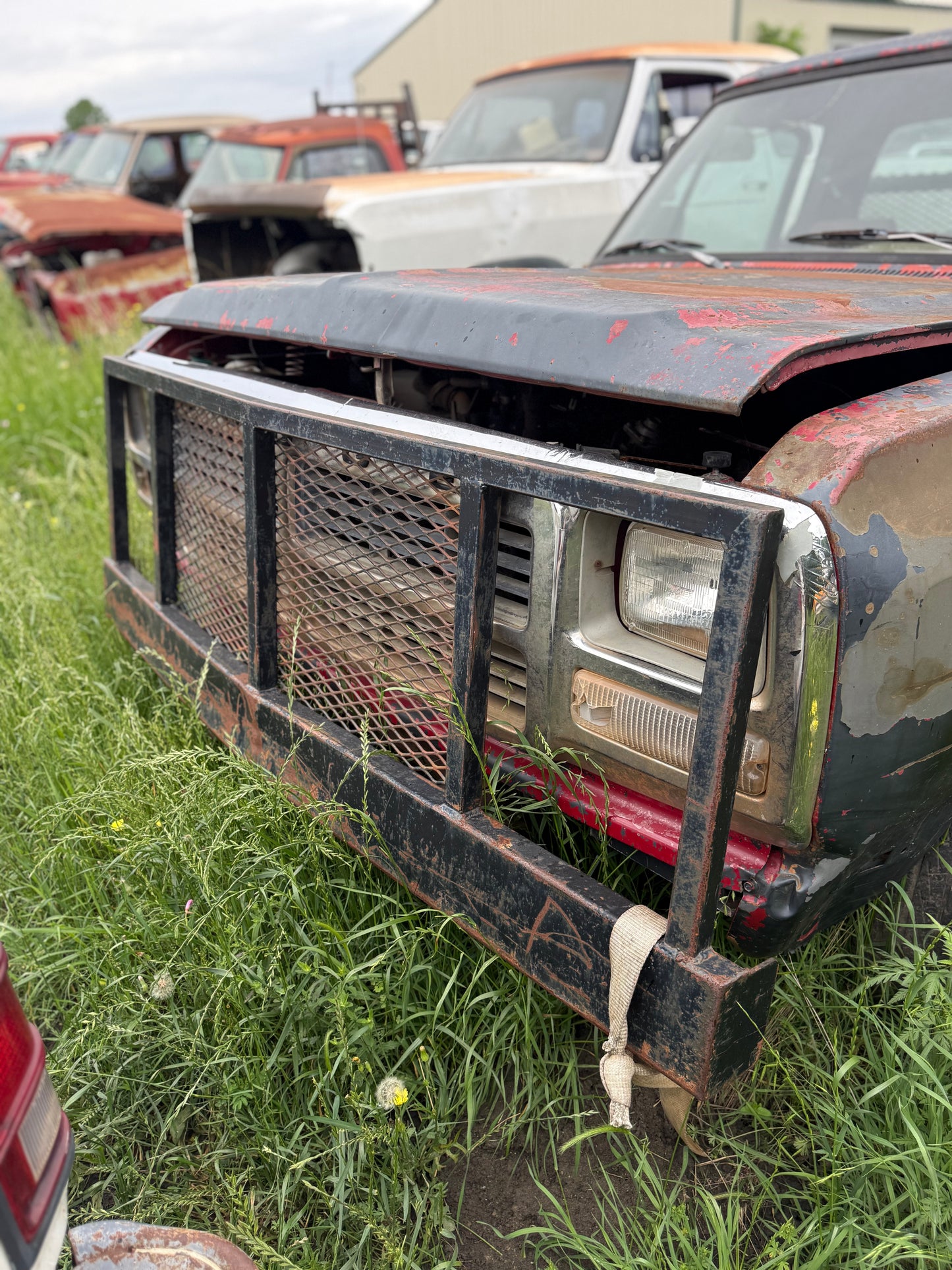 Ranch Hand Style Grill Guard First Gen Cummins (Local Pickup)