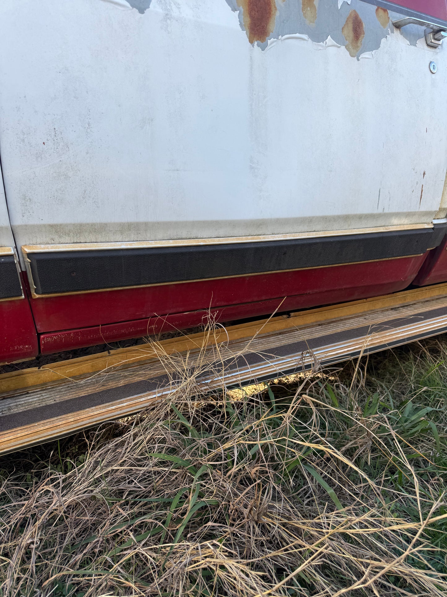 Door Trim Molding 89-90 LE First Gen Cummins Driver Side