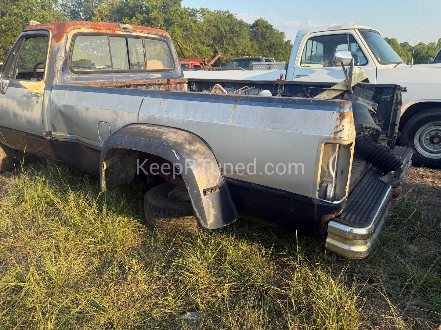 Z Dually Bed Blue Silver