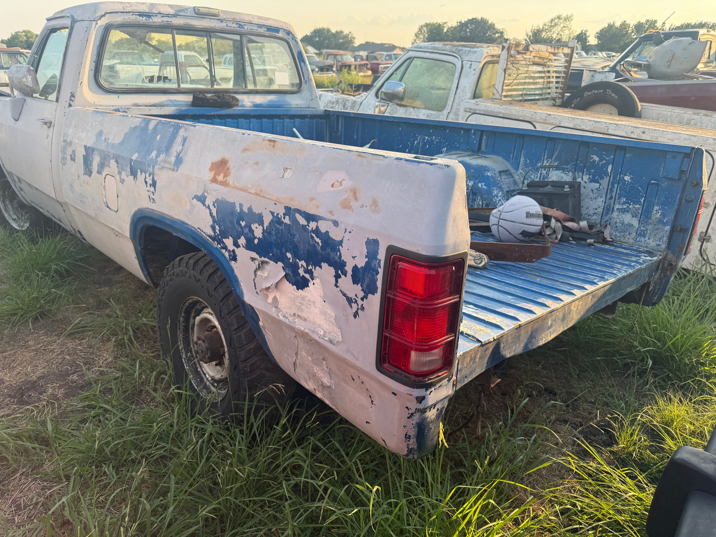 Z Blue White Longbed