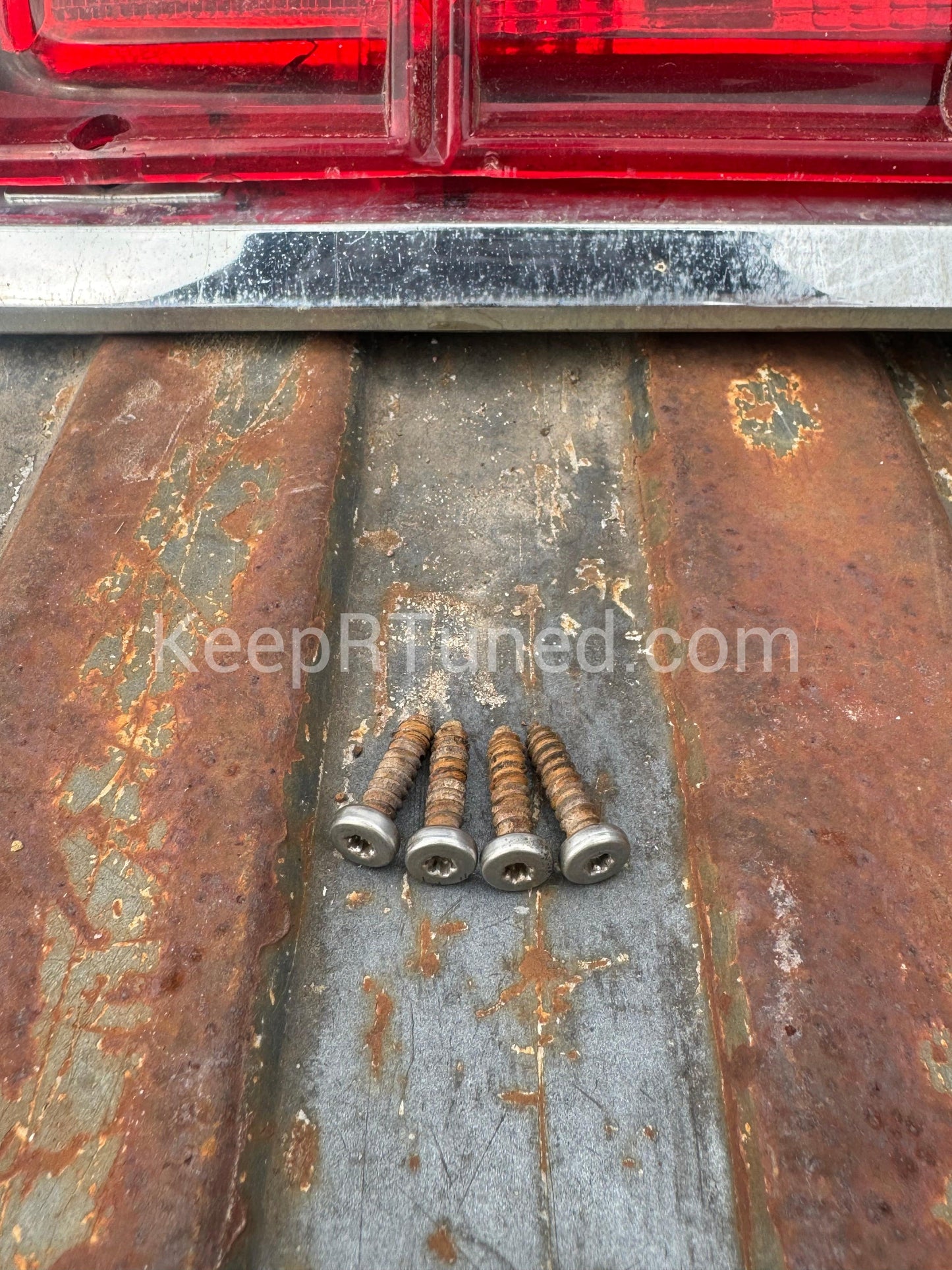 Tail Light Factory Torx Bolts