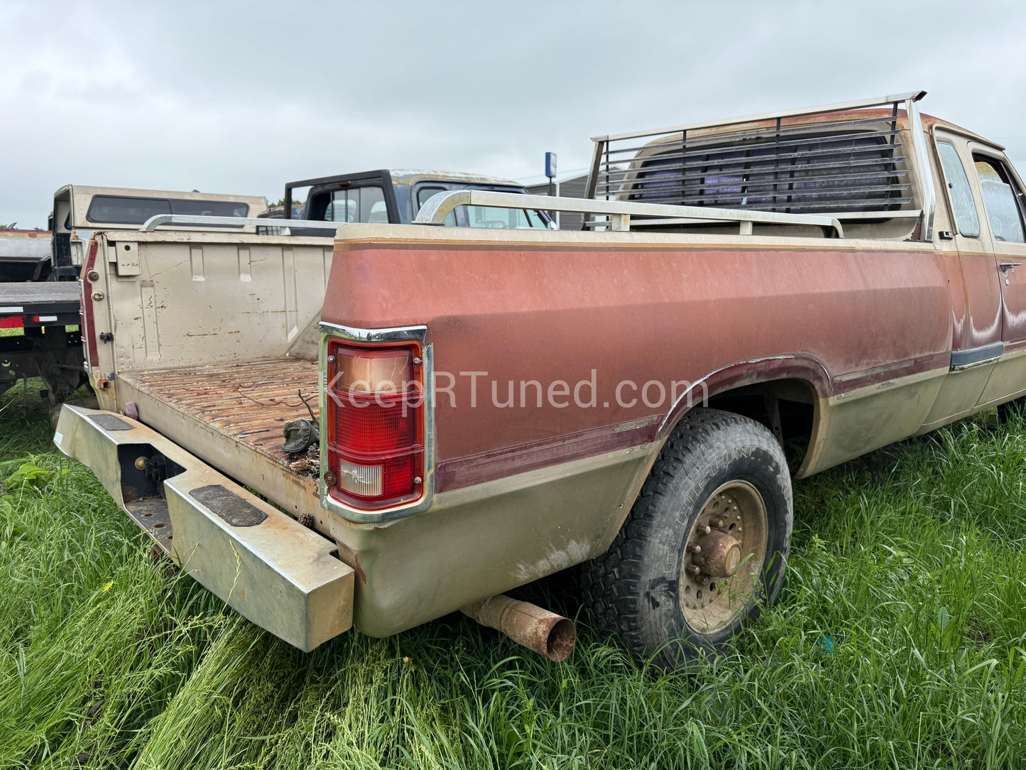 Z Single Wheel Bed Gold / Maroon