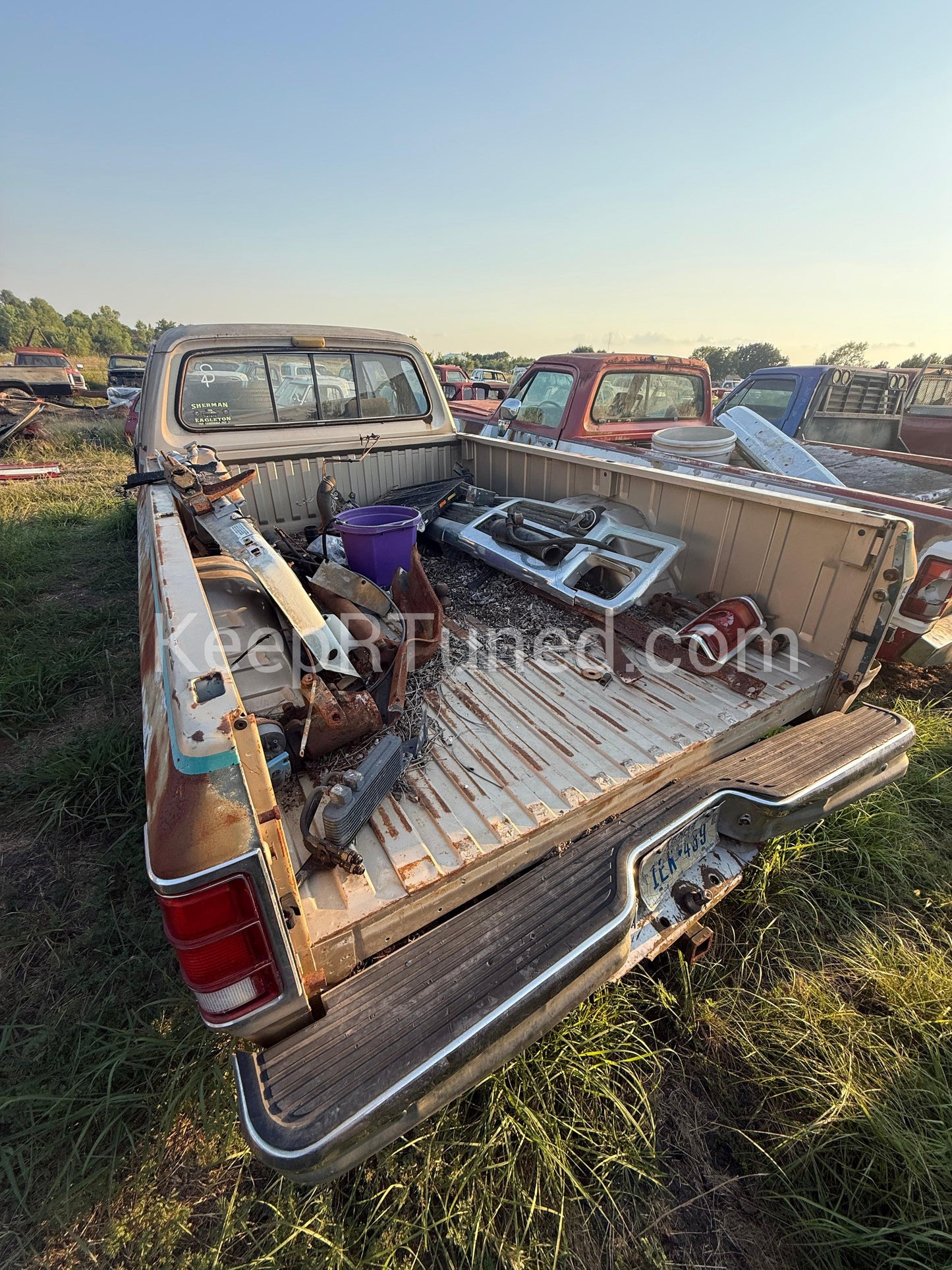 Z Green and Gold Longbed