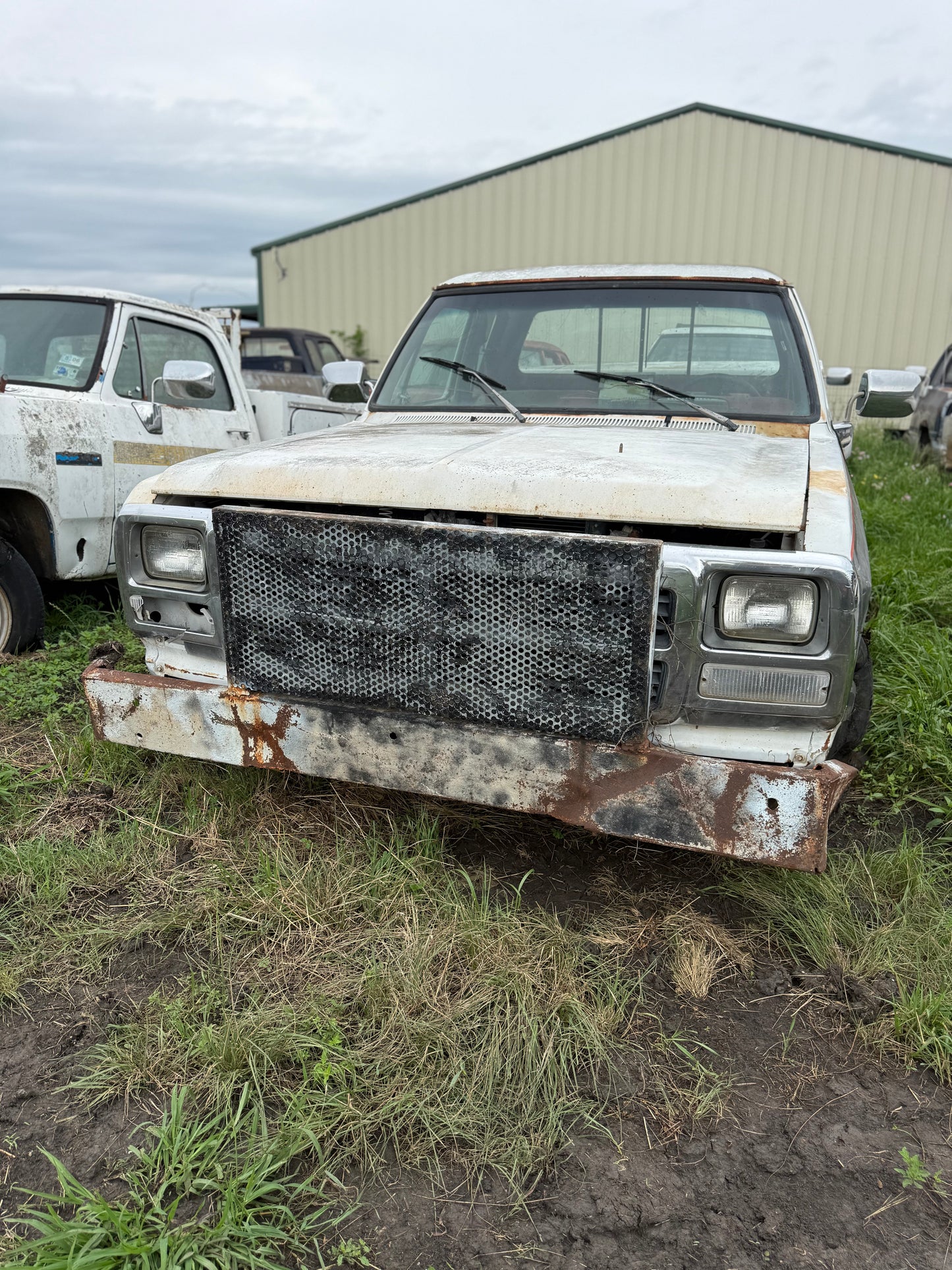 Ranch Hand Style Grill Guard First Gen Cummins (Local Pickup)