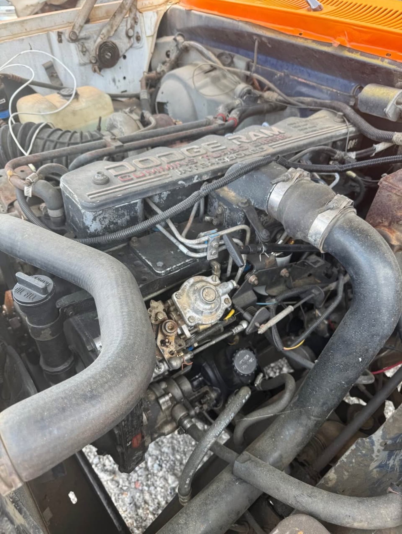 Engine 12 Valve Intercooled (ve pump needs some new seals)