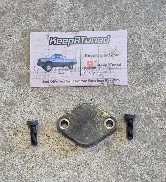 Fuel Injection Pump Cover Plate and (2) Torx Fillister Screws Cummins VE