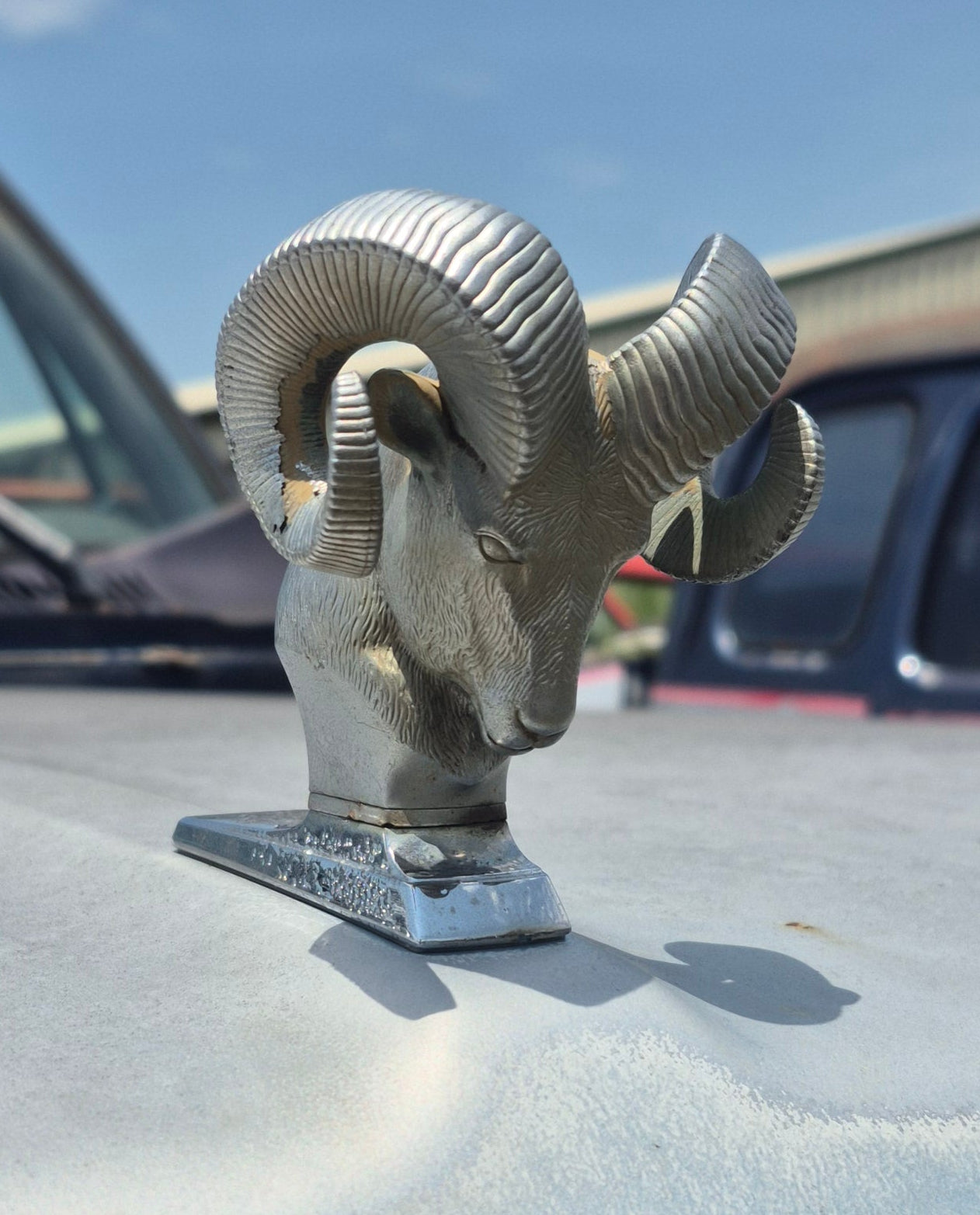 Rams Head Emblem OEM