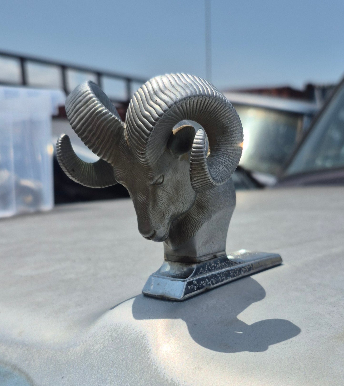 Rams Head Emblem OEM