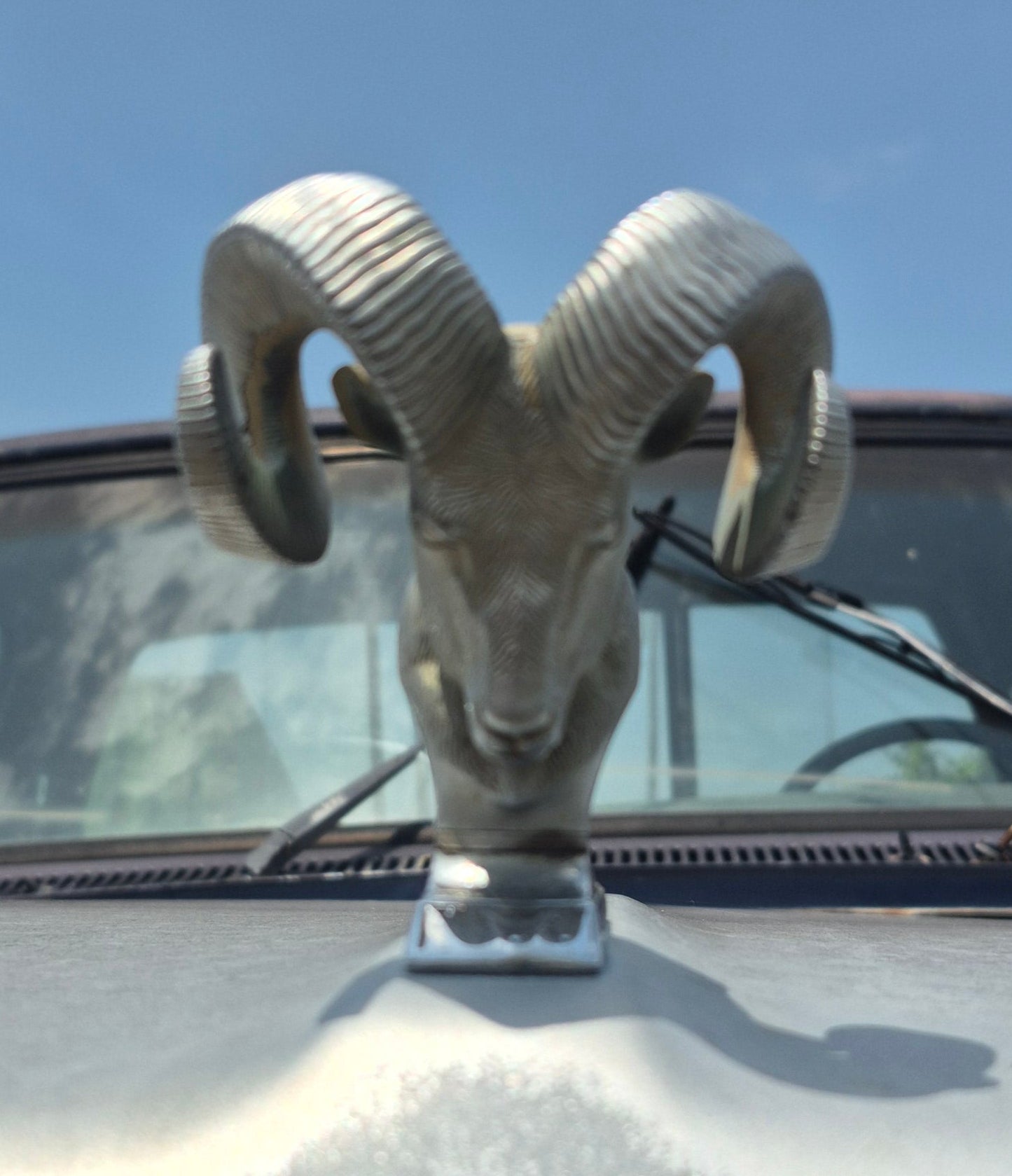 Rams Head Emblem OEM