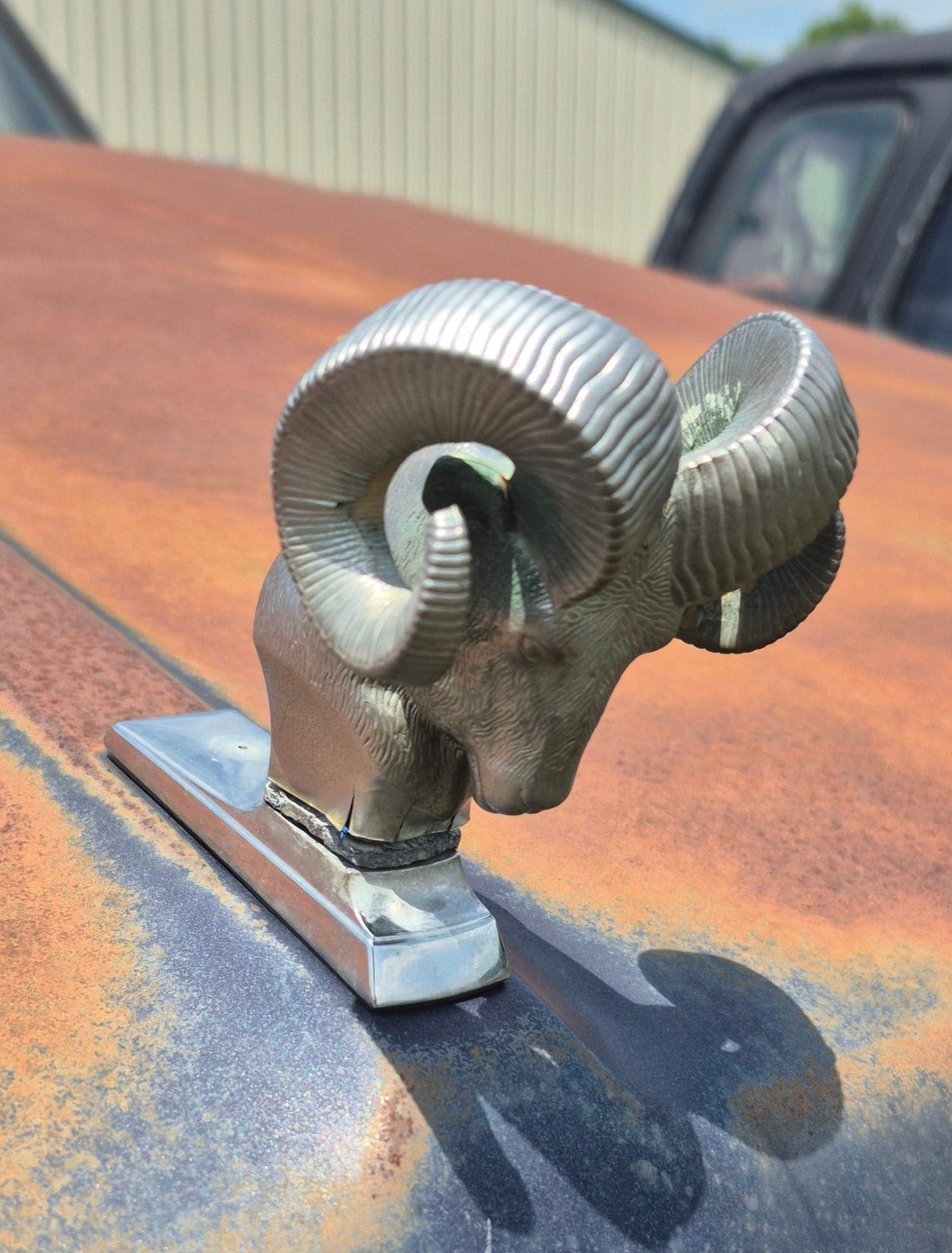 Rams Head Emblem OEM - read