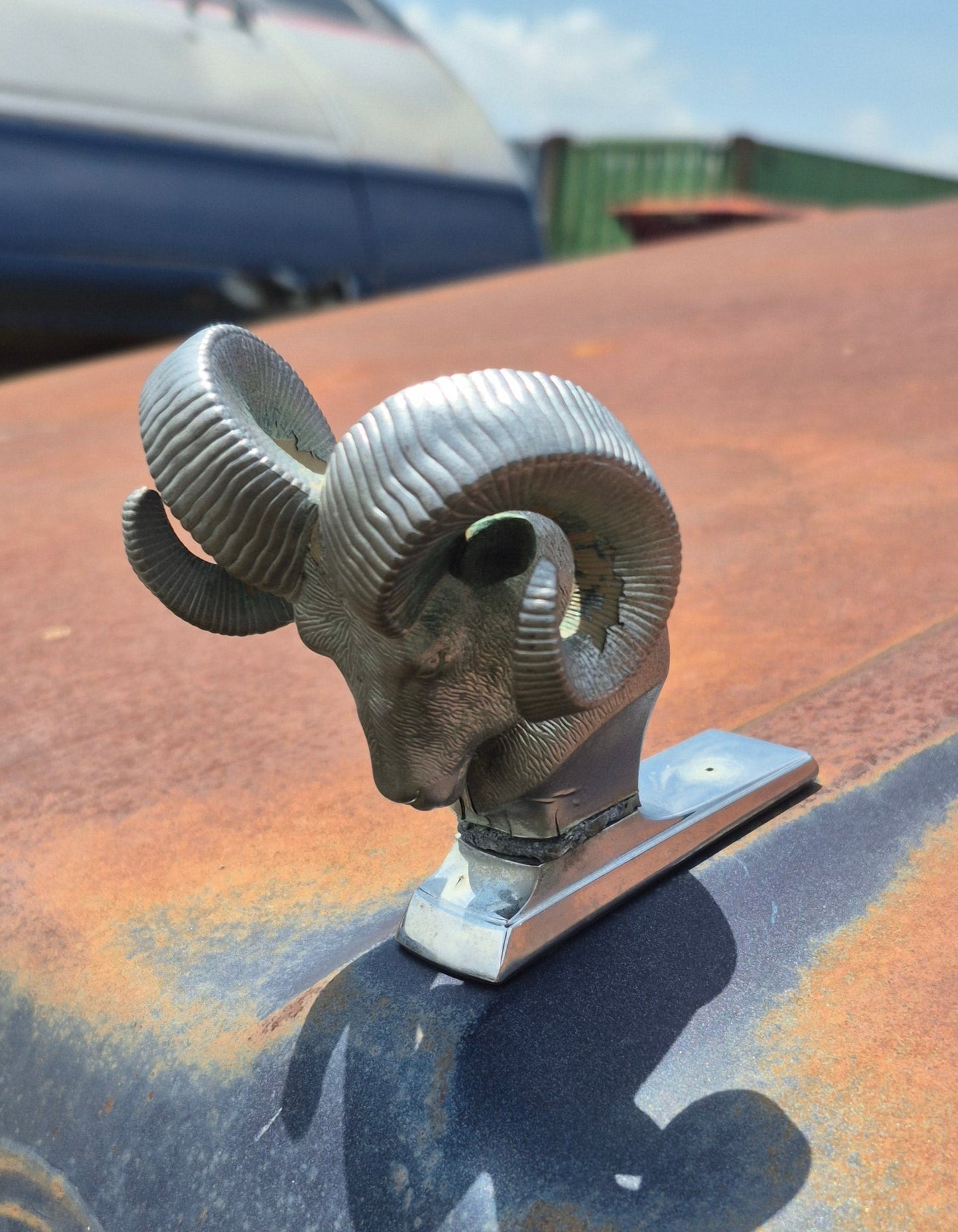 Rams Head Emblem OEM - read