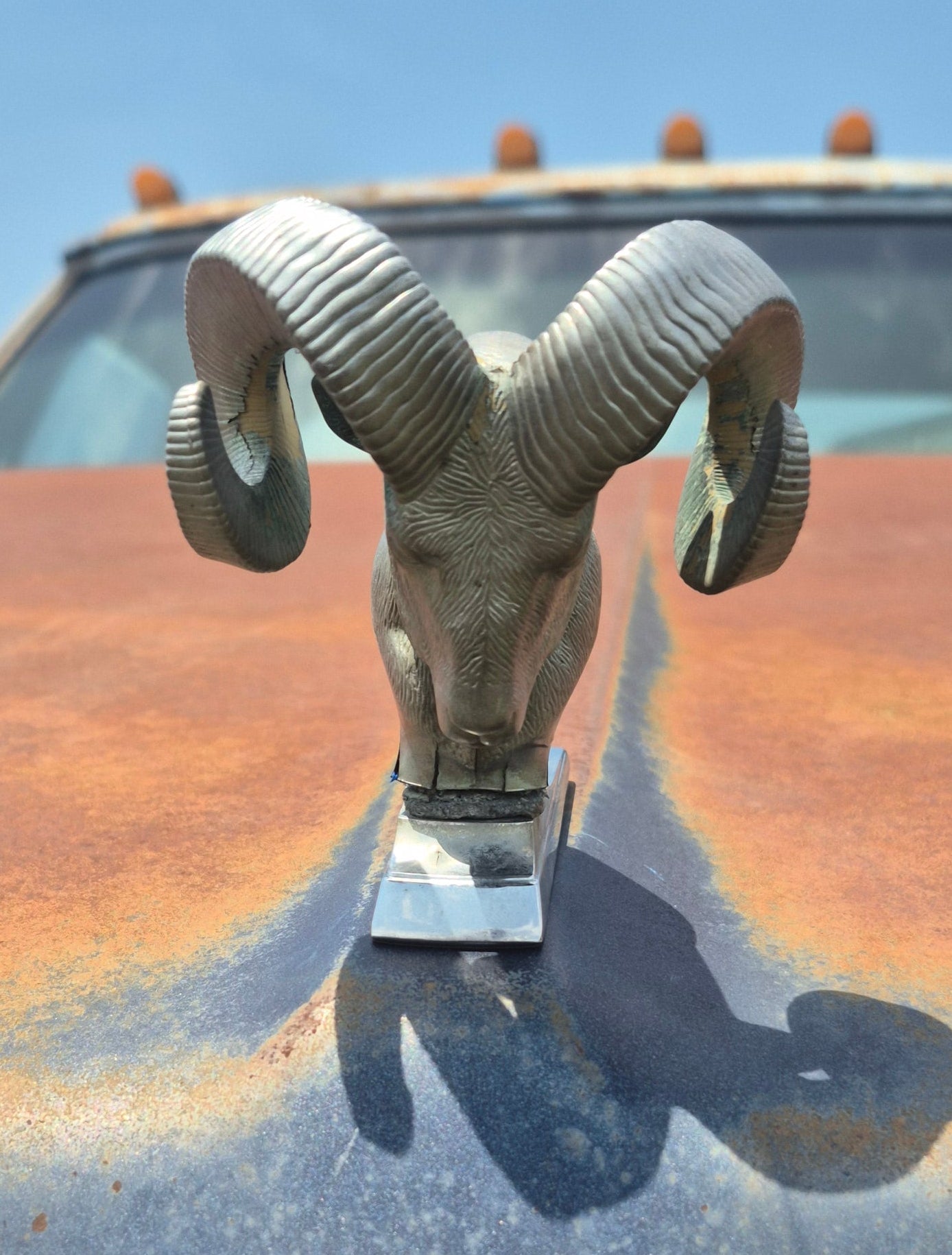 Rams Head Emblem OEM - read