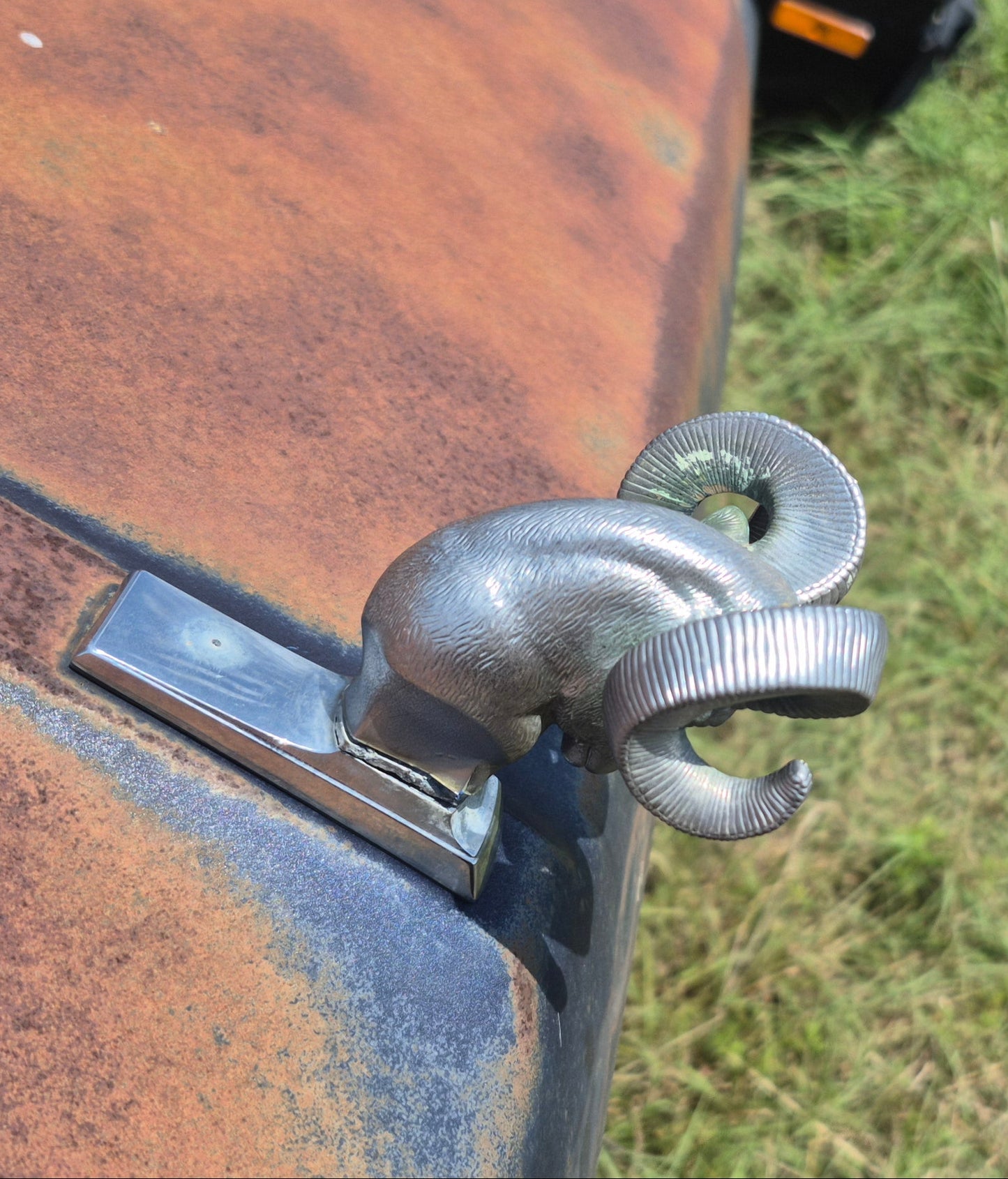 Rams Head Emblem OEM - read