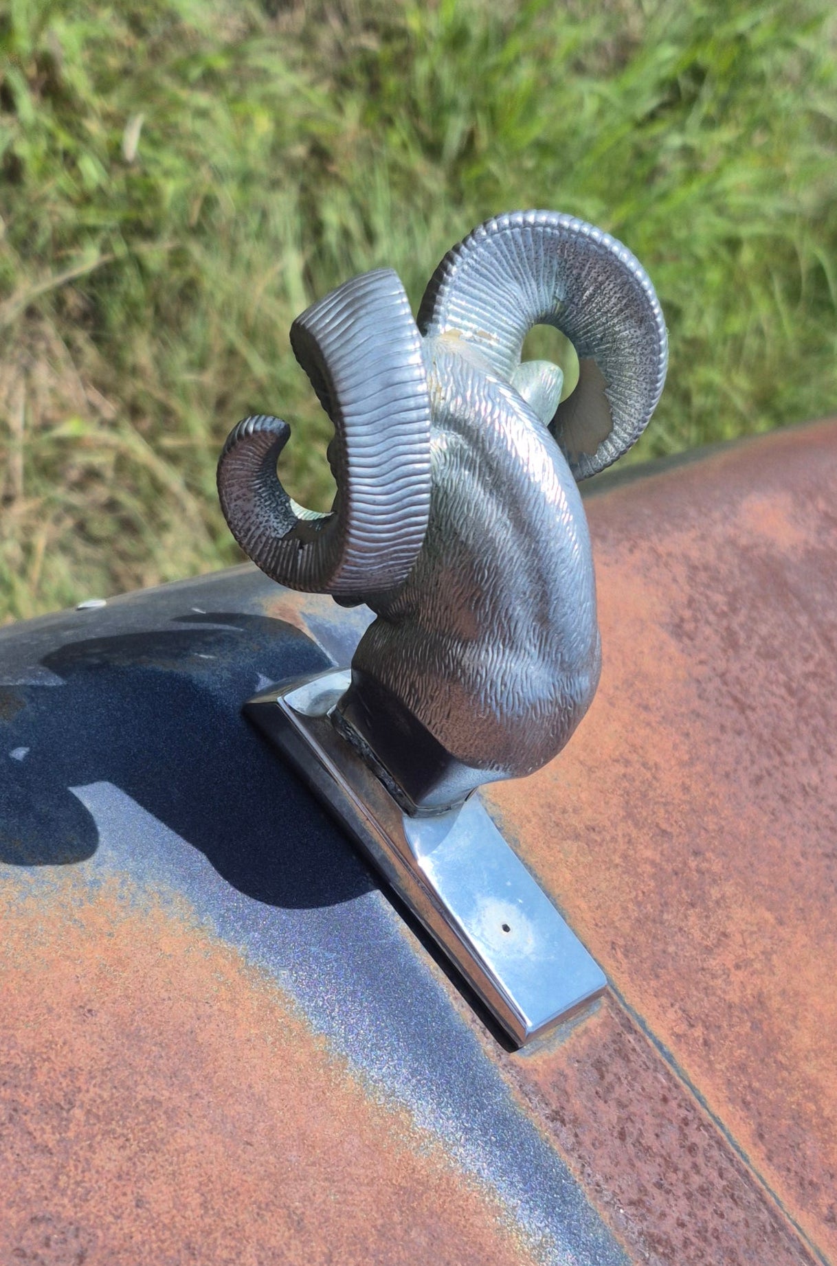 Rams Head Emblem OEM - read
