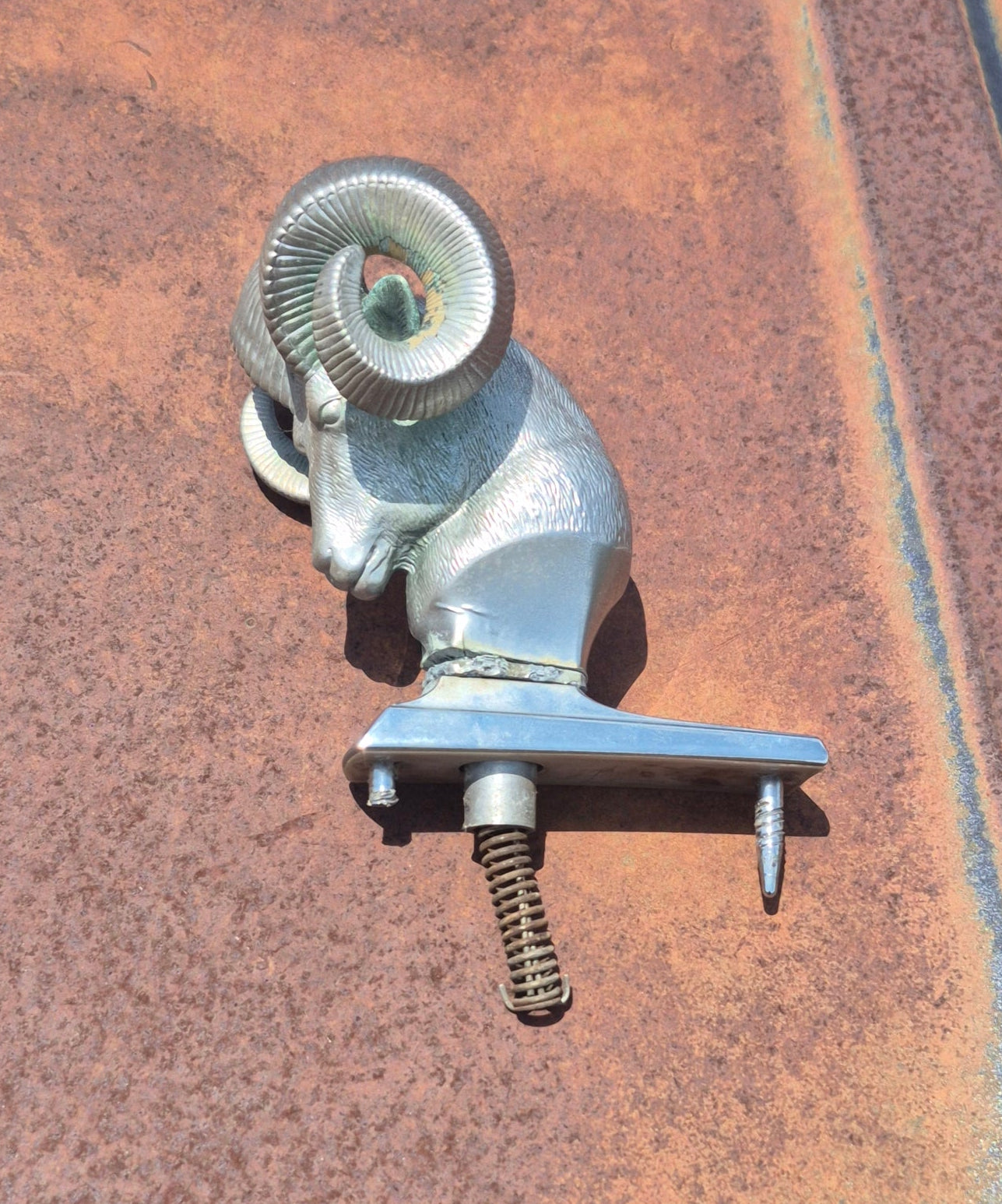 Rams Head Emblem OEM - read