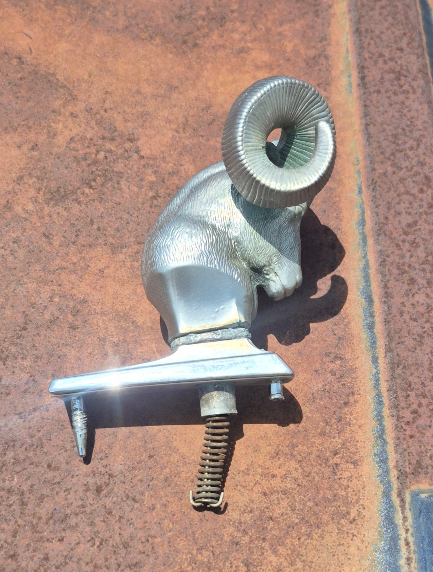 Rams Head Emblem OEM - read