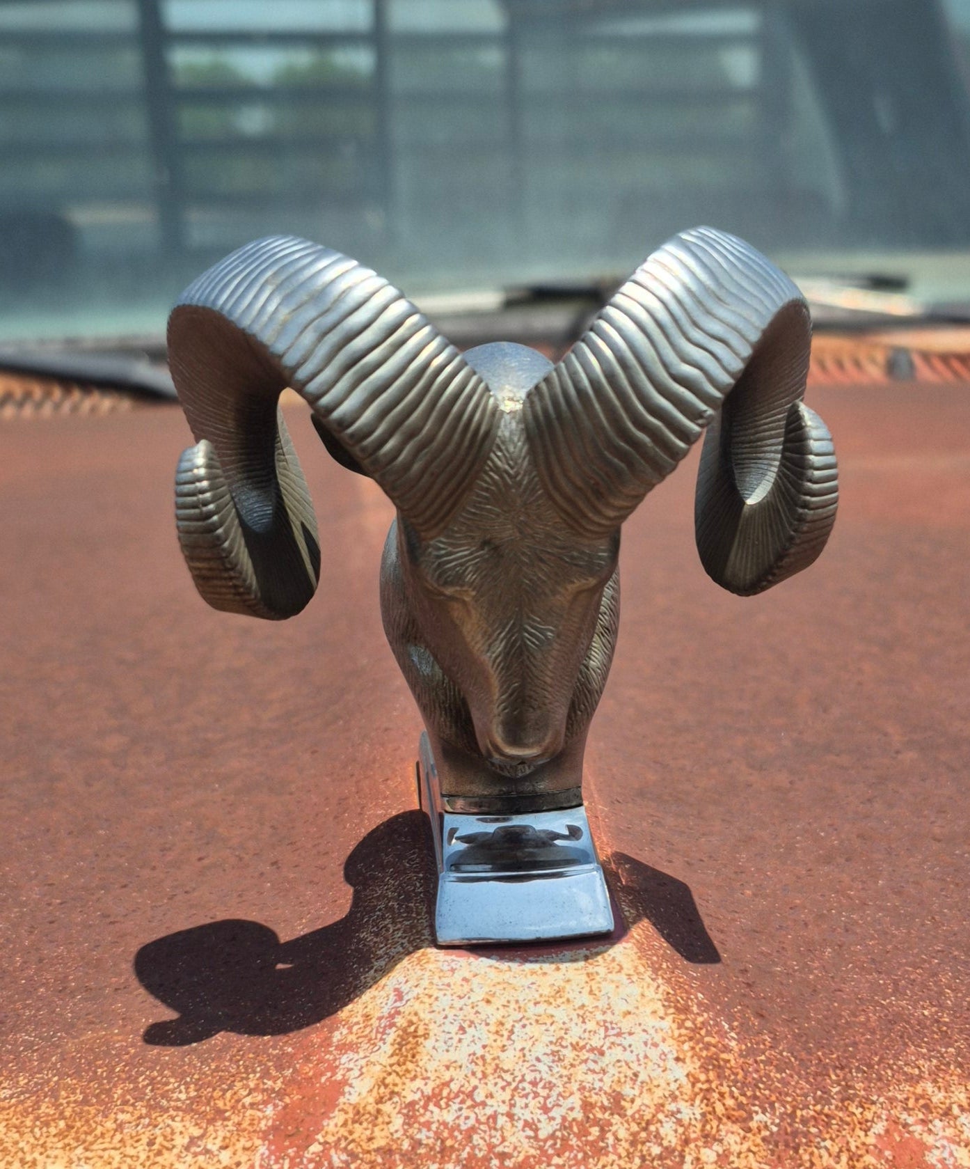 Rams Head Emblem - OEM