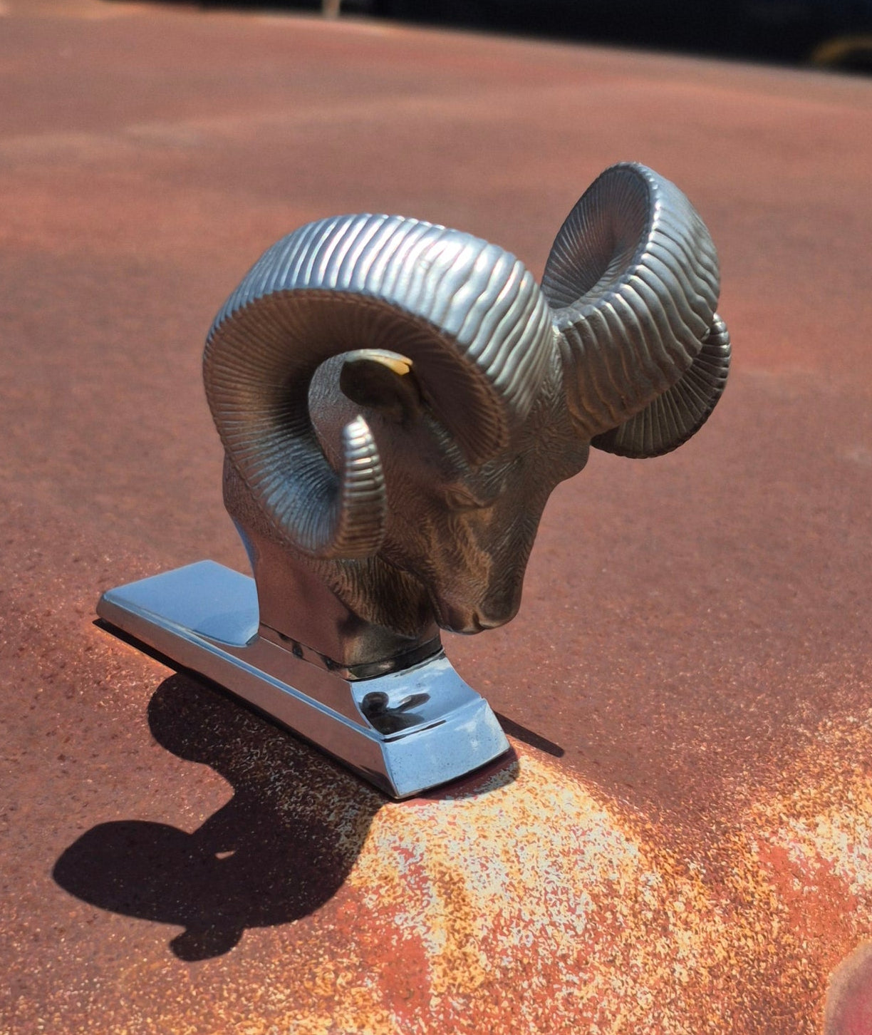 Rams Head Emblem - OEM