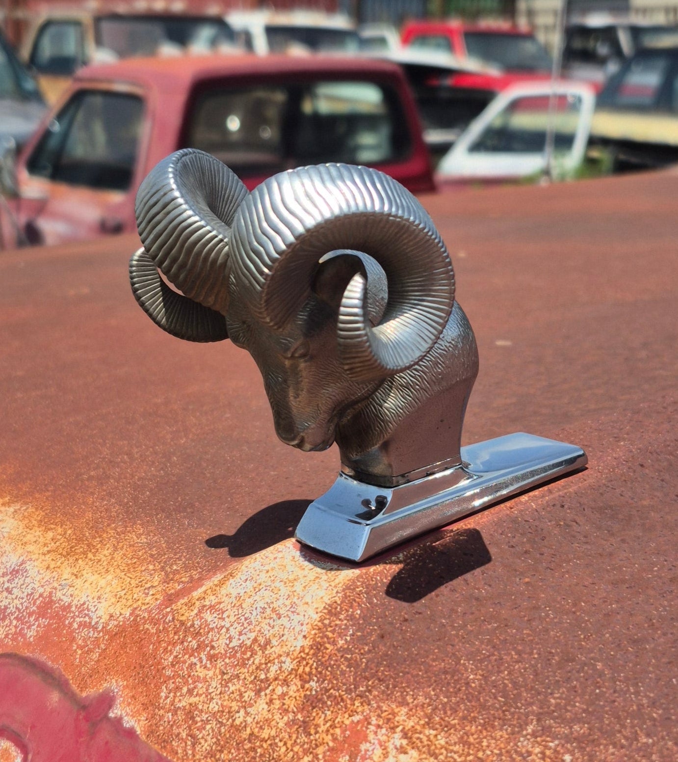 Rams Head Emblem - OEM