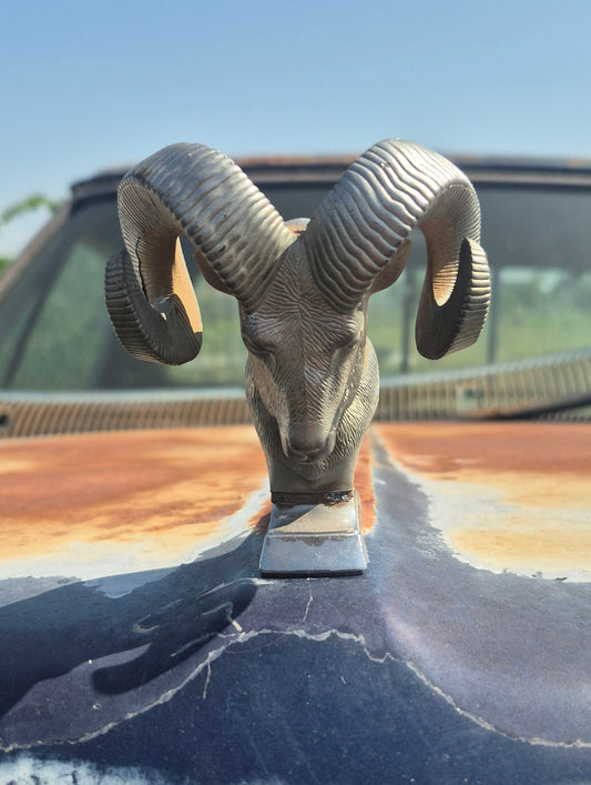 Rams Head Emblem - OEM