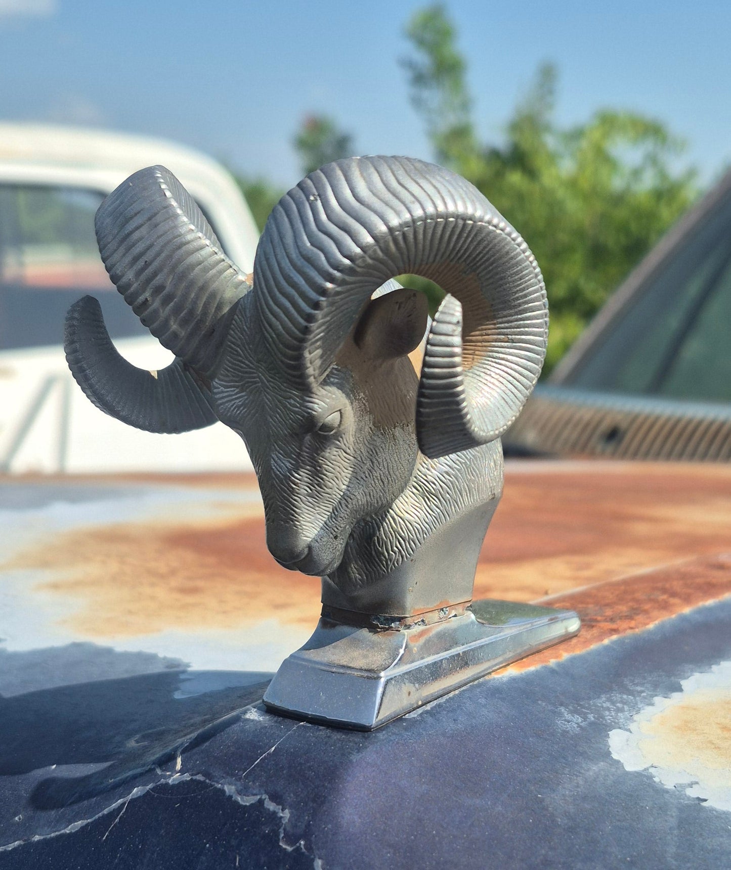 Rams Head Emblem - OEM