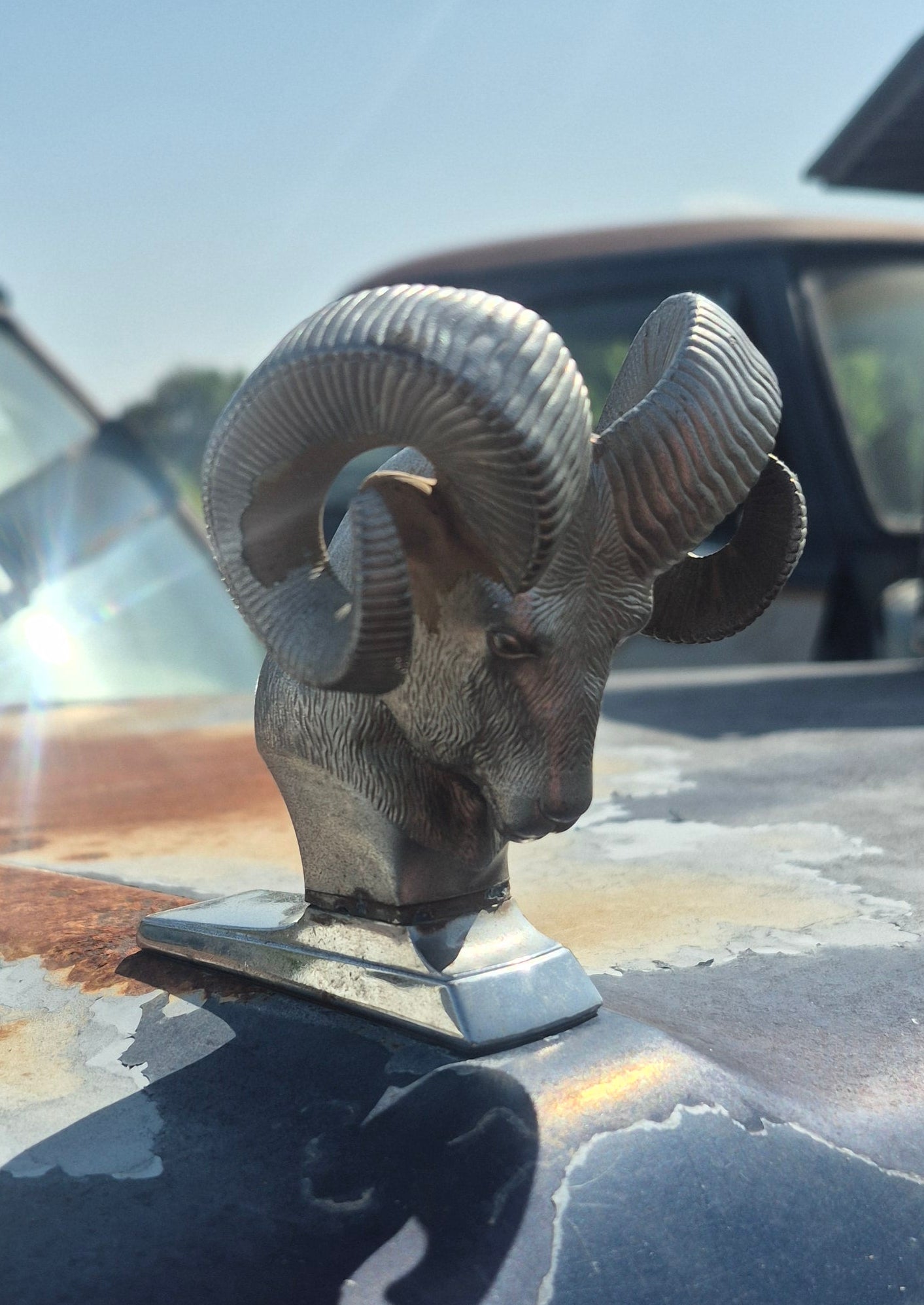 Rams Head Emblem - OEM