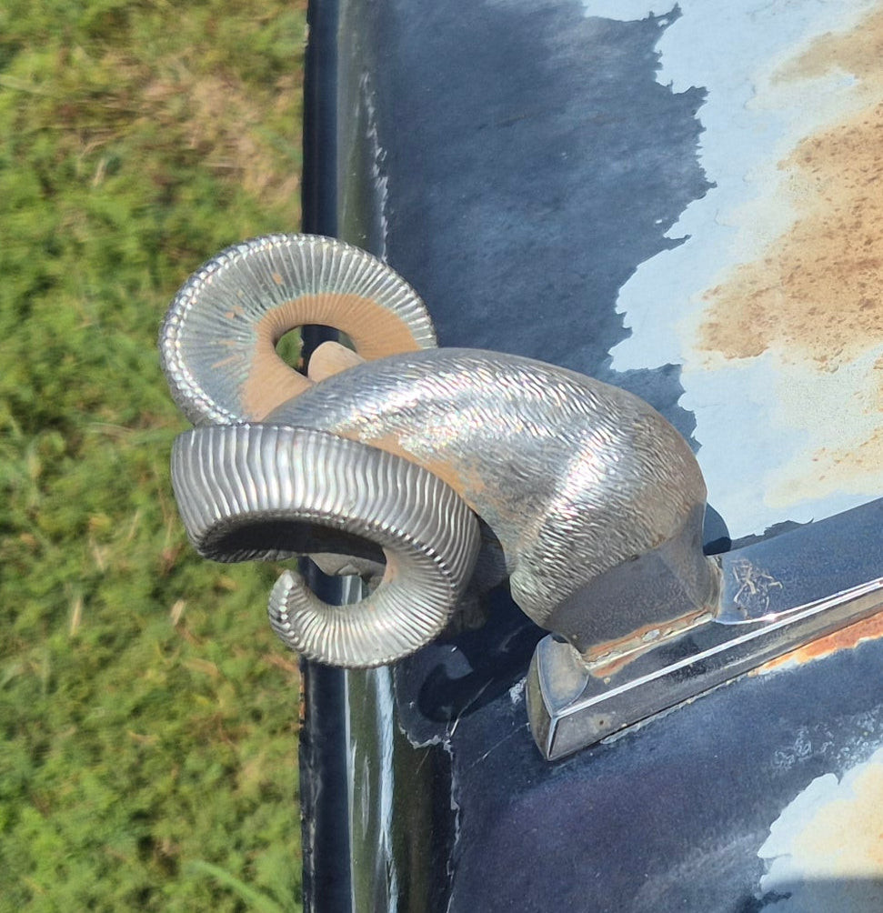Rams Head Emblem - OEM