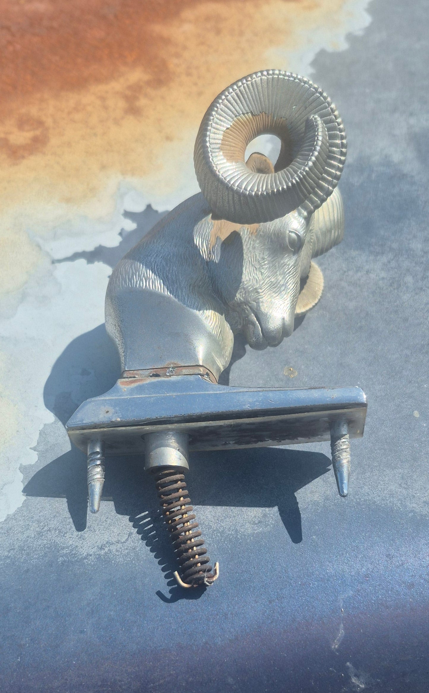 Rams Head Emblem - OEM