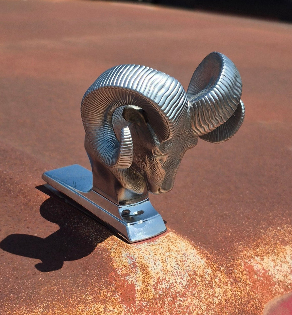Rams Head Emblem OEM - read