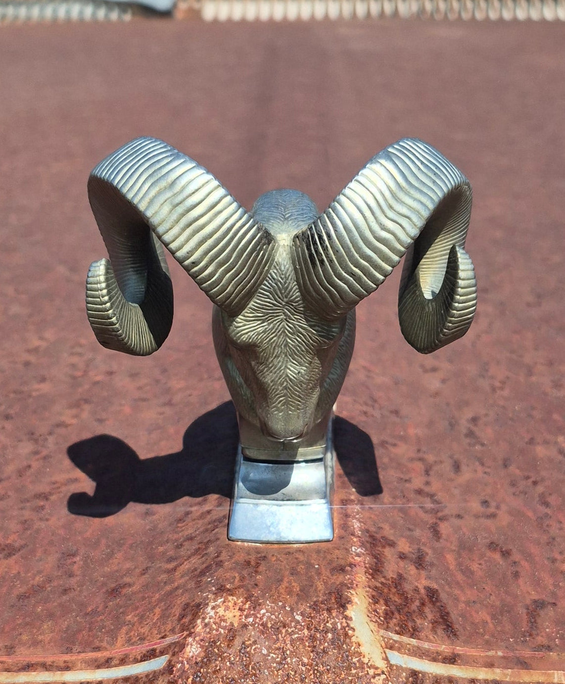 Rams Head Emblem OEM - read