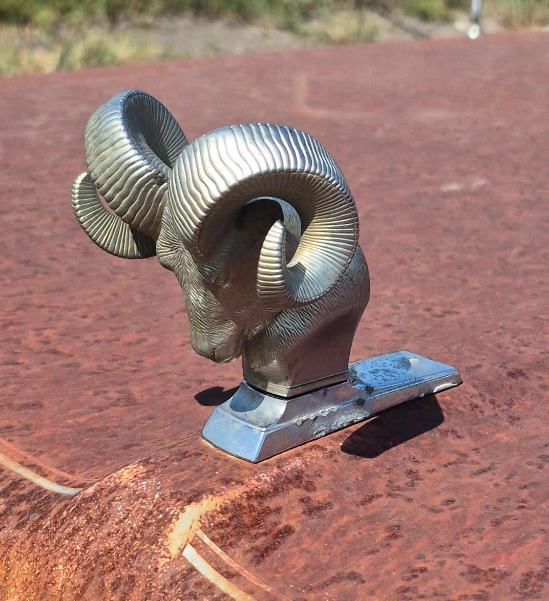 Rams Head Emblem OEM - read