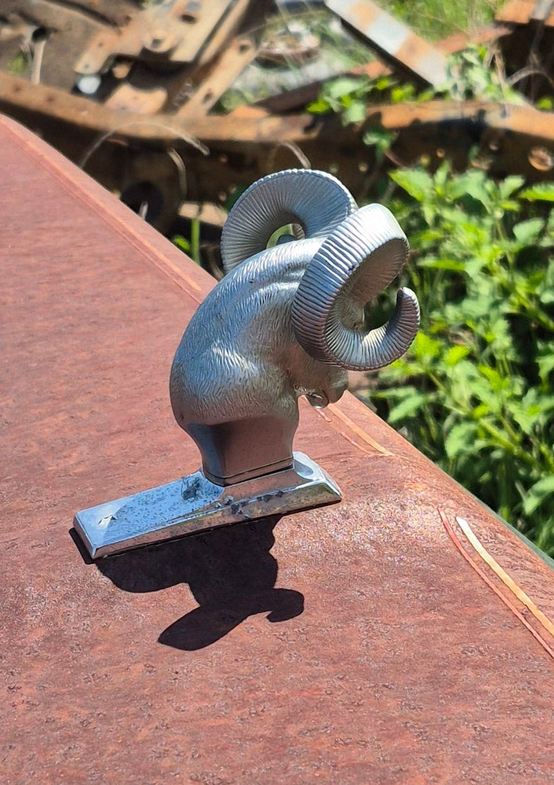 Rams Head Emblem OEM - read