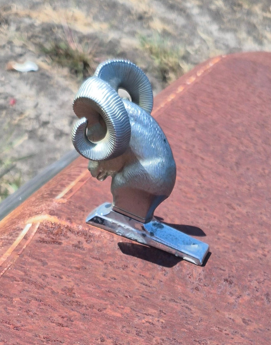 Rams Head Emblem OEM - read