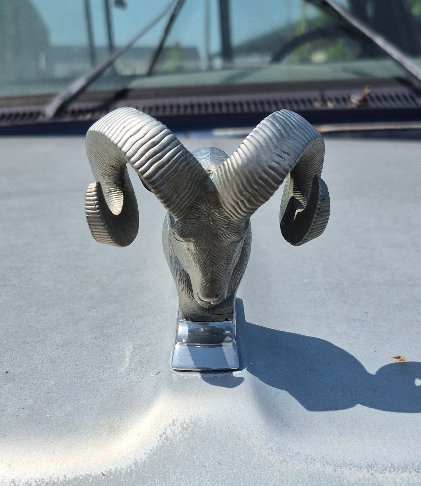 Rams Head Emblem OEM - read