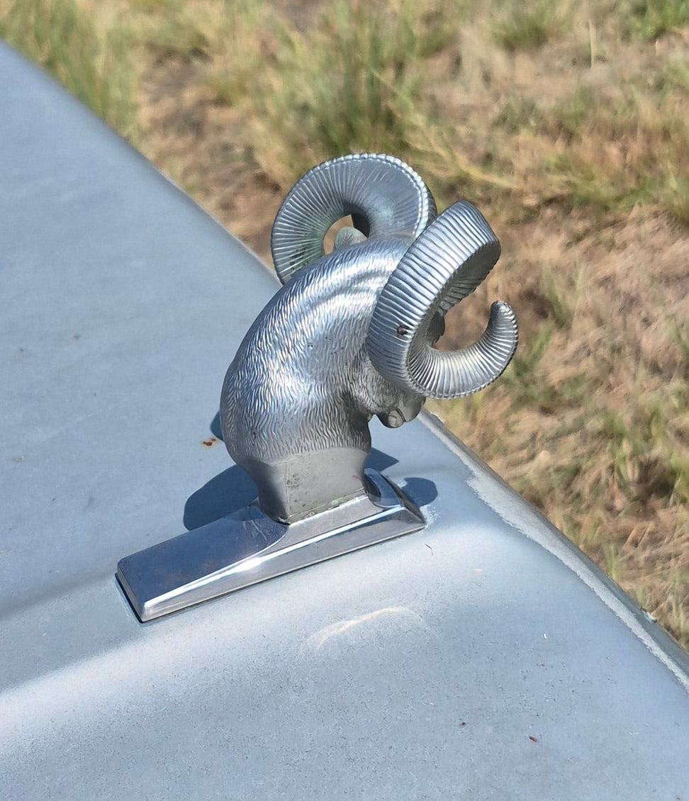 Rams Head Emblem OEM - read