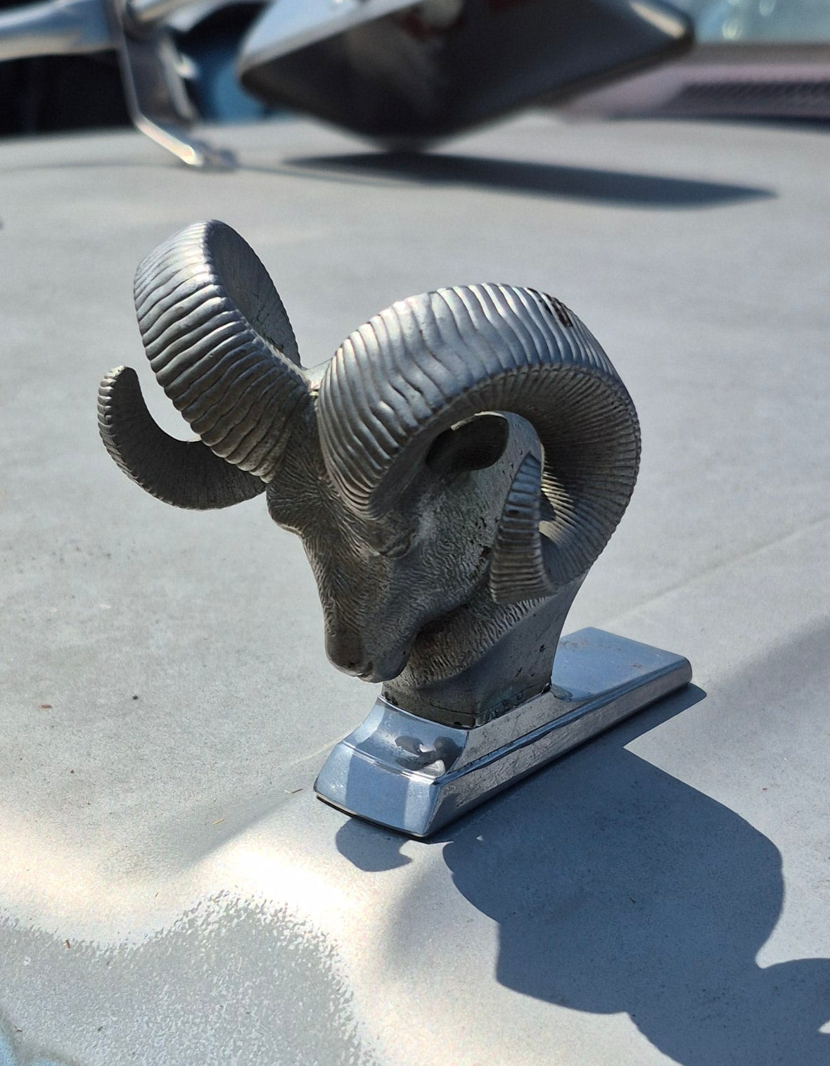 Rams Head Emblem OEM - read